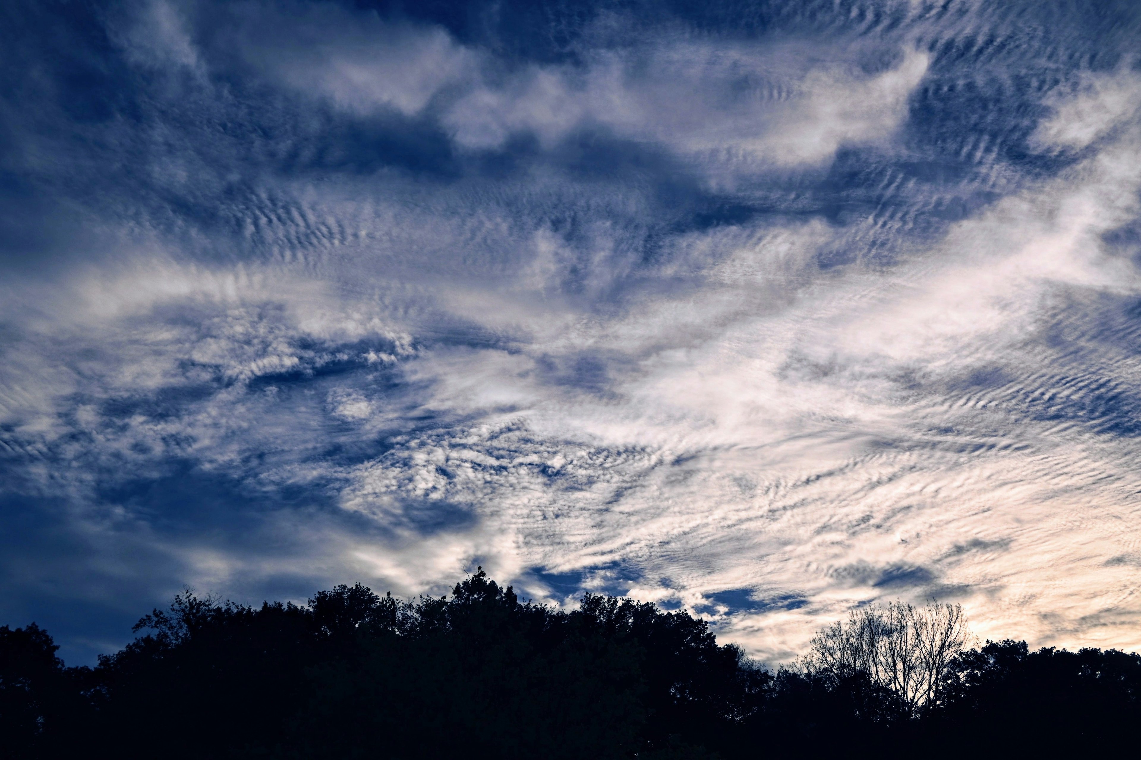 Bellissimi motivi nuvolosi nel cielo crepuscolare con alberi in silhouette