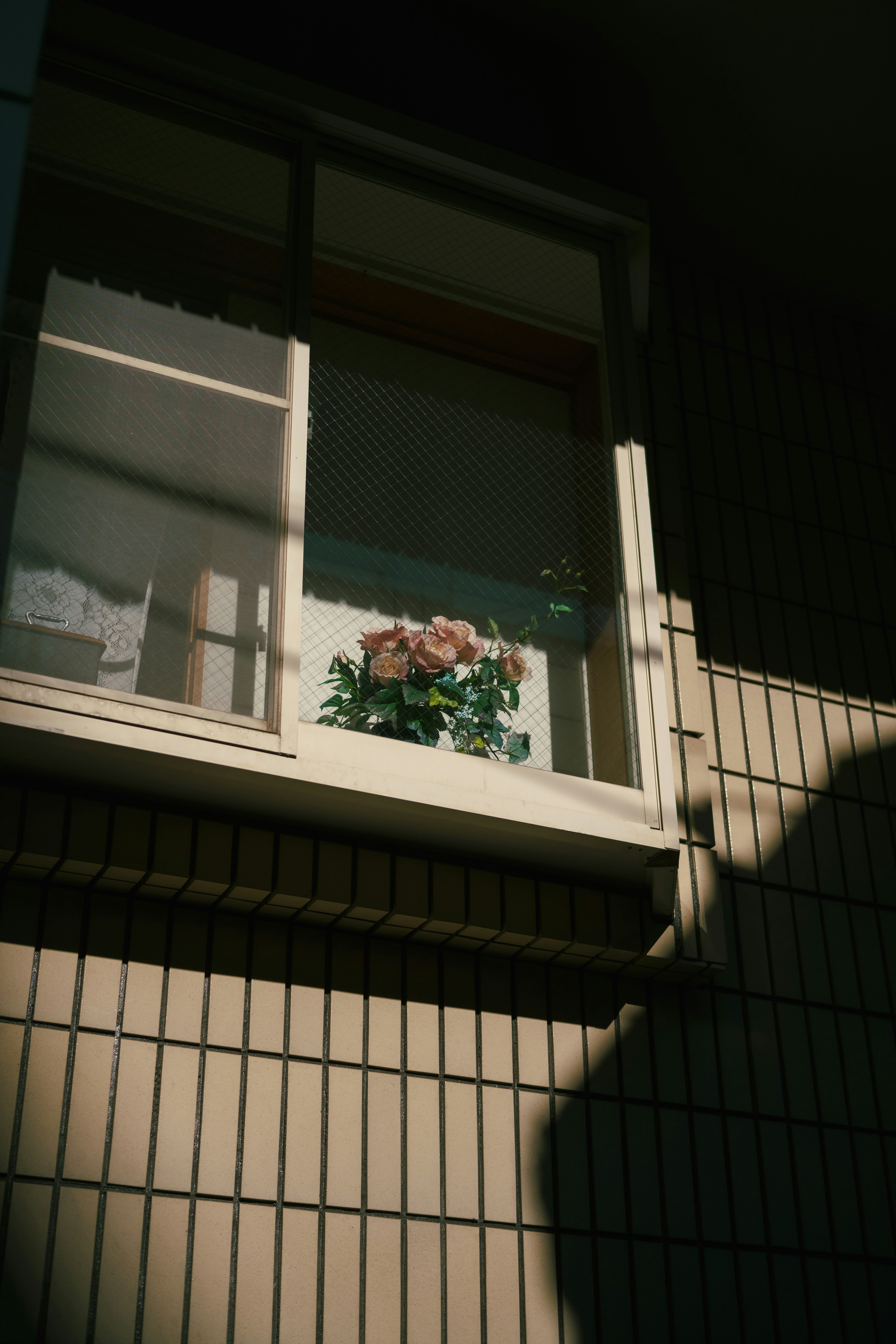 Vue extérieure d'un bâtiment avec un pot de fleurs sur une fenêtre