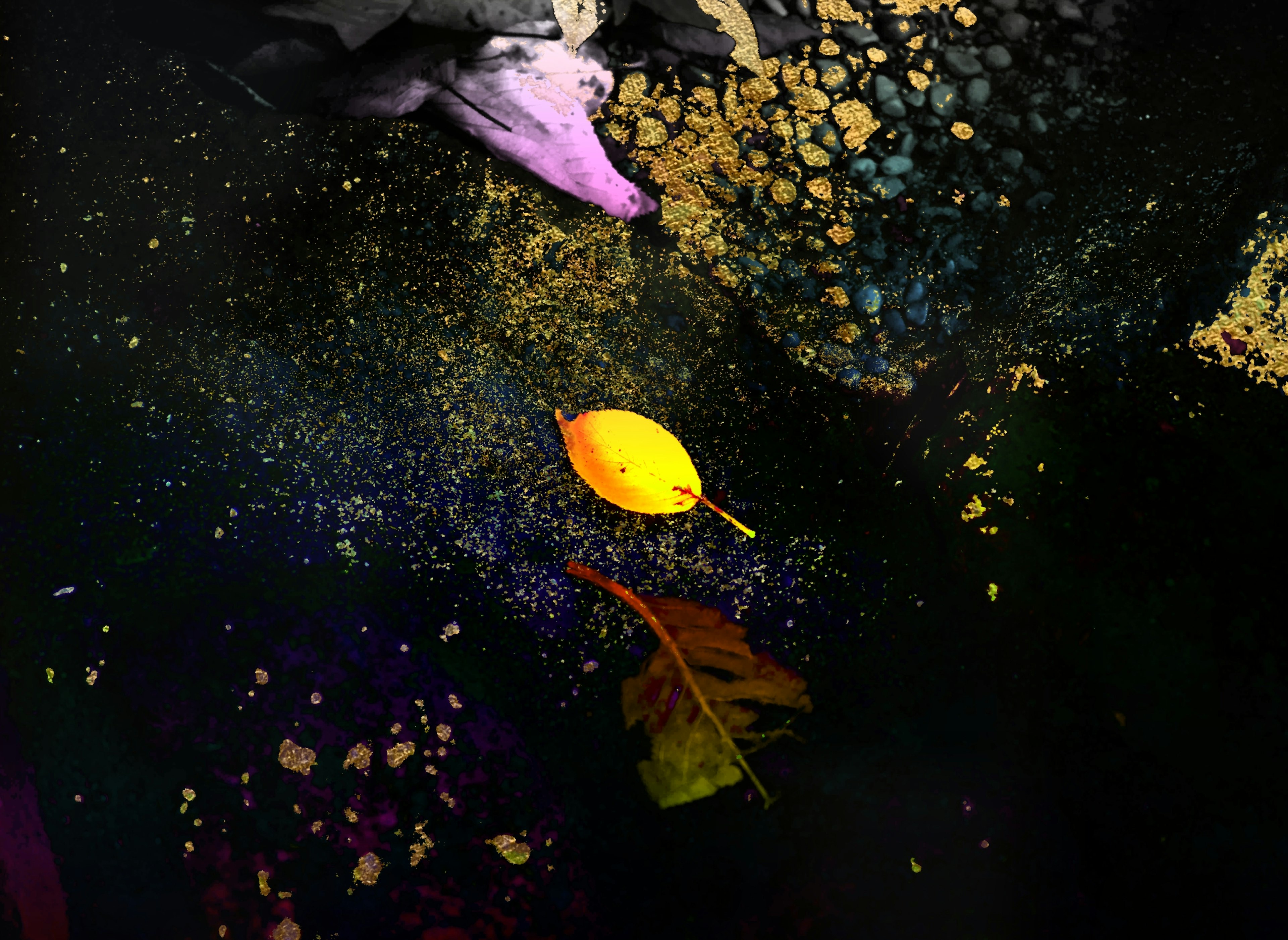 A yellow leaf floating on water with vibrant colors surrounding it