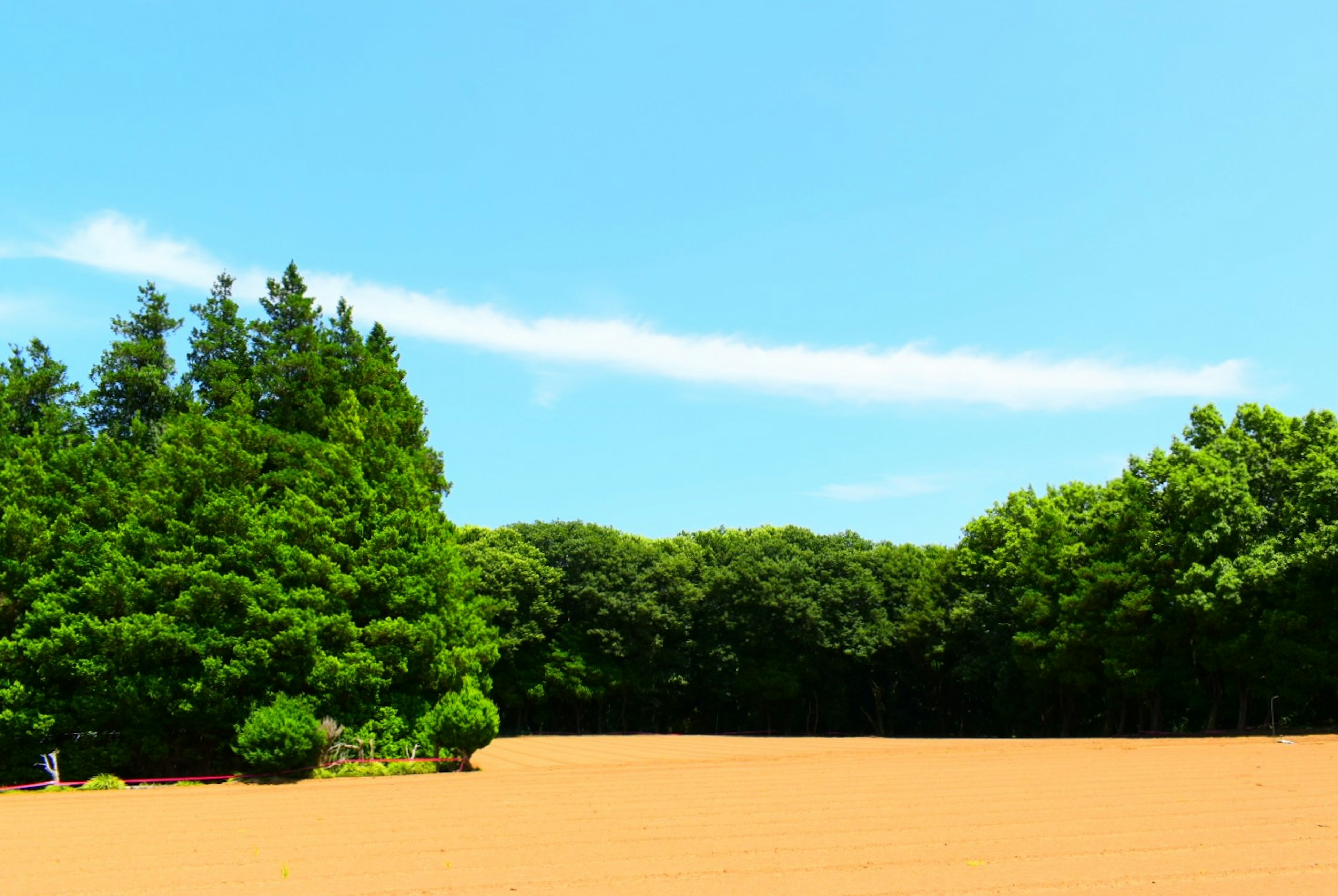 Weitläufige Sandfläche unter blauem Himmel mit üppigem grünem Wald