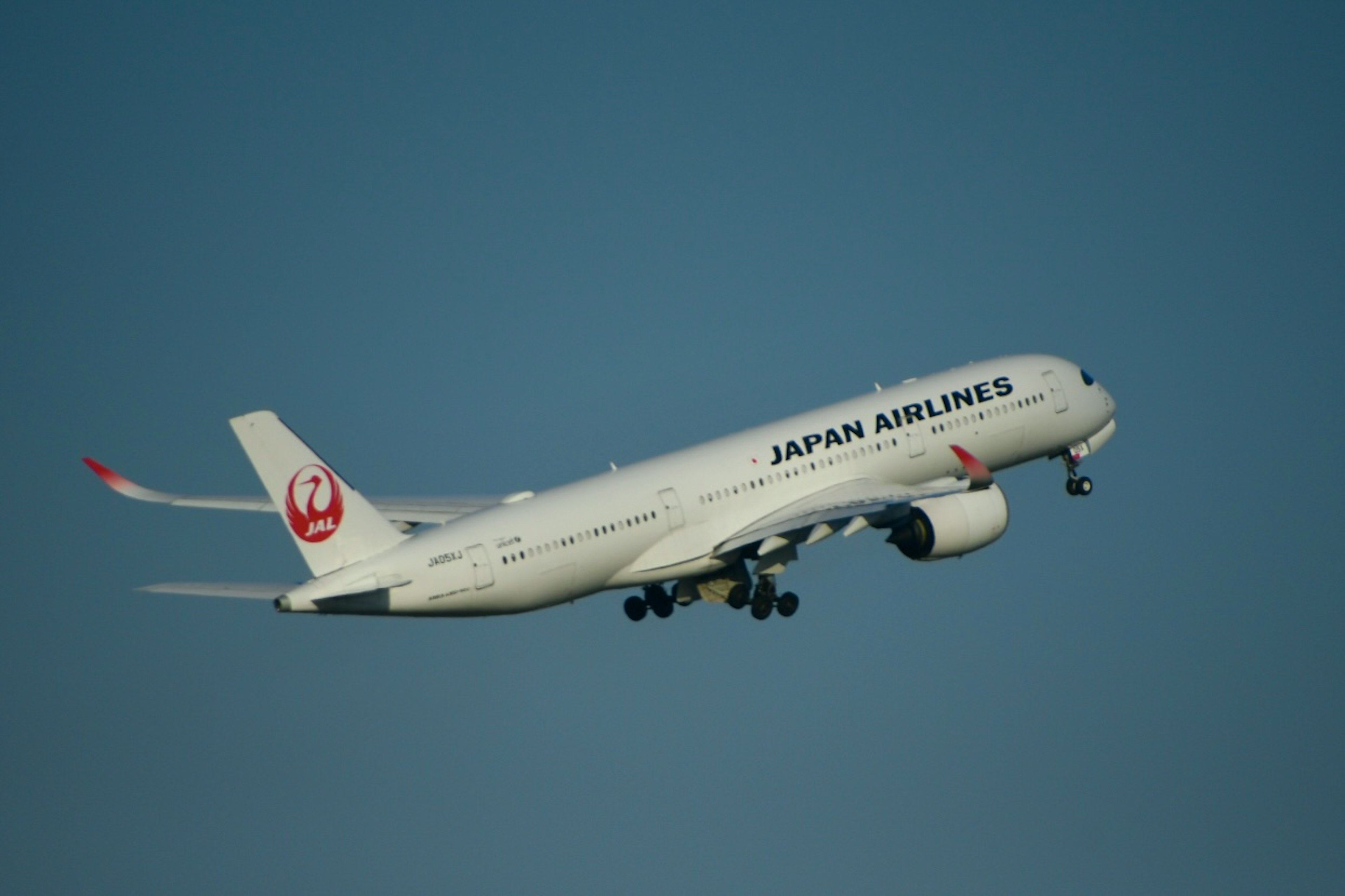 Japan Airlines airplane taking off against a clear sky