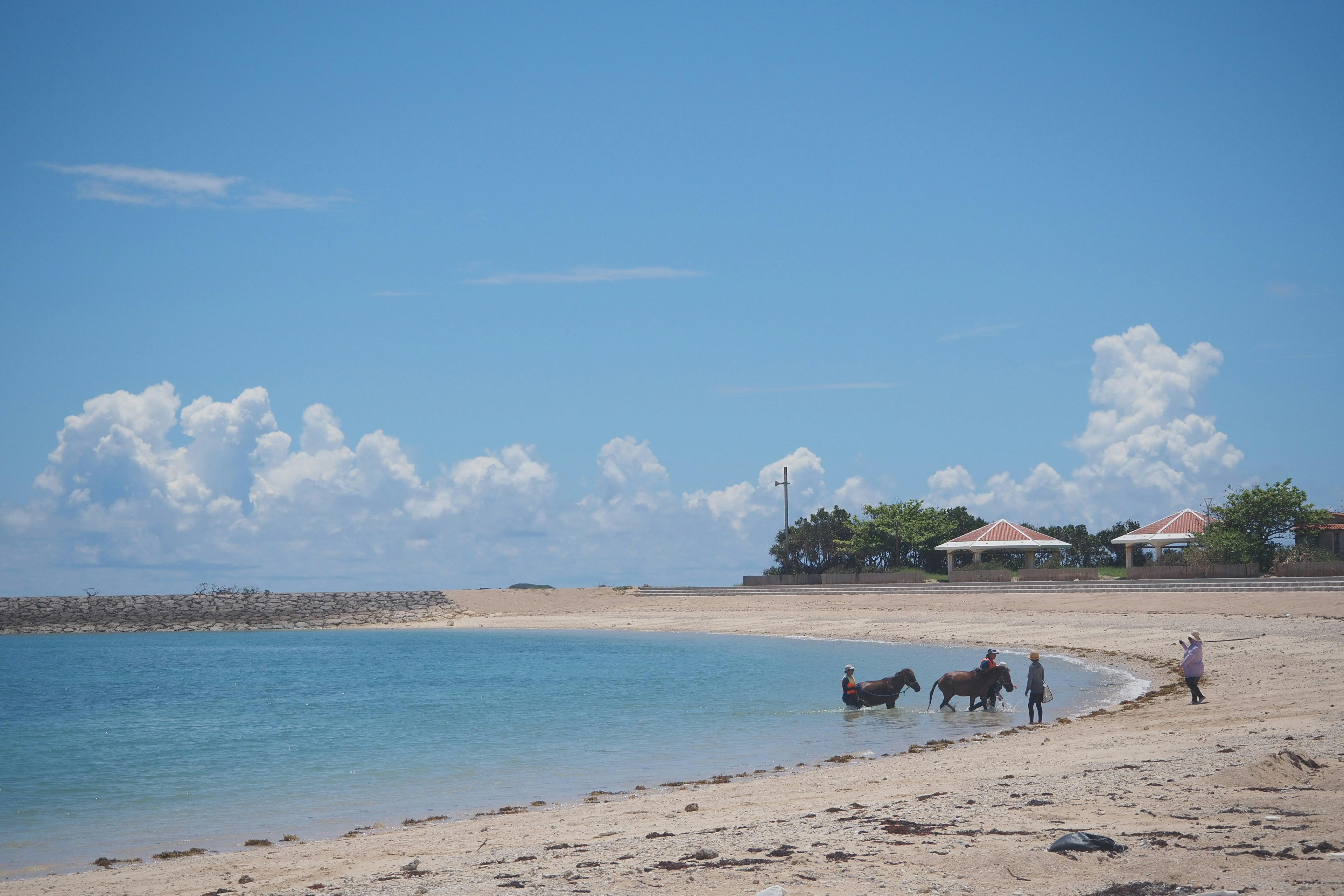 Escena de playa con personas montando caballos bajo un cielo azul y nubes blancas