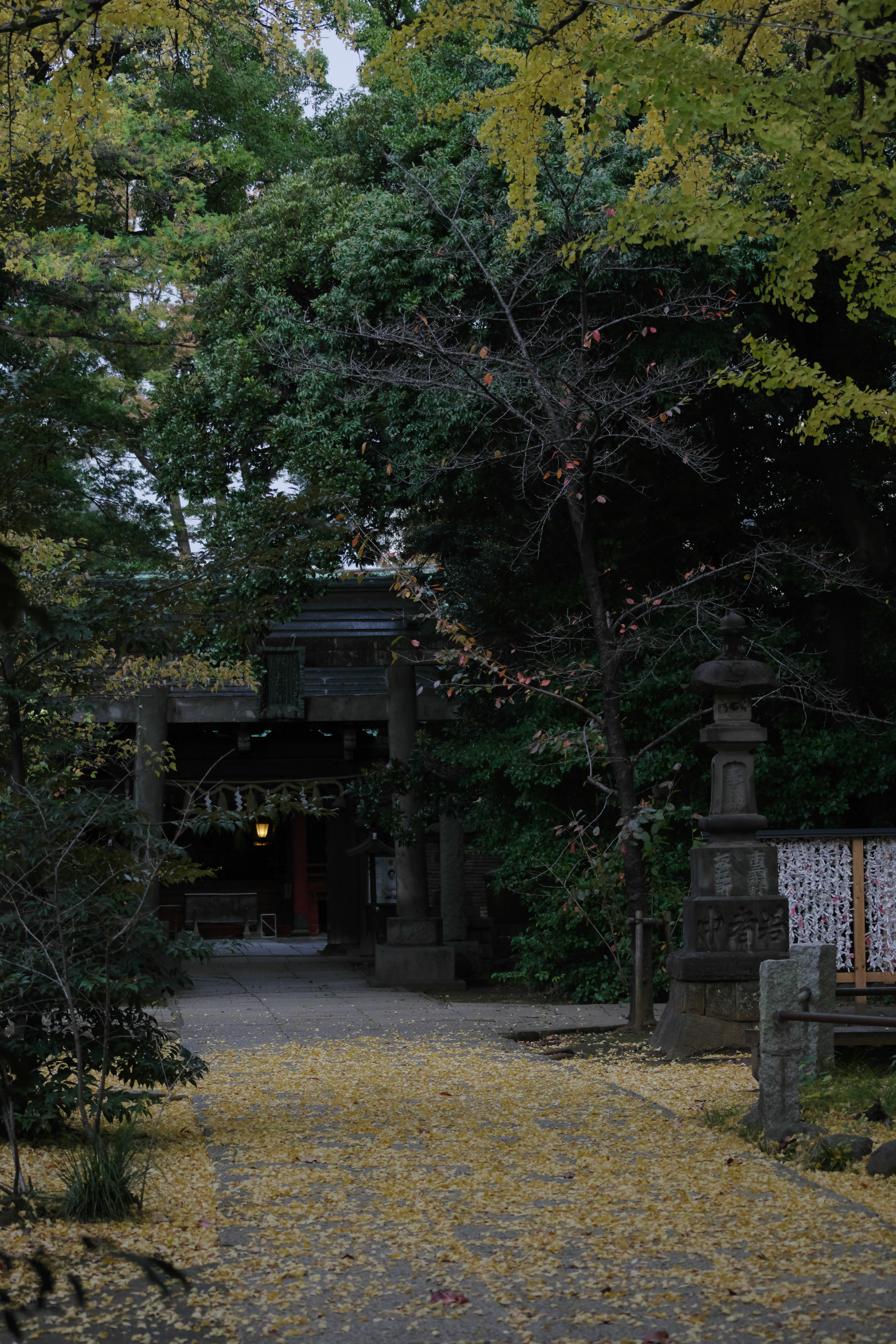 秋の落ち葉が散りばめられた静かな神社の道