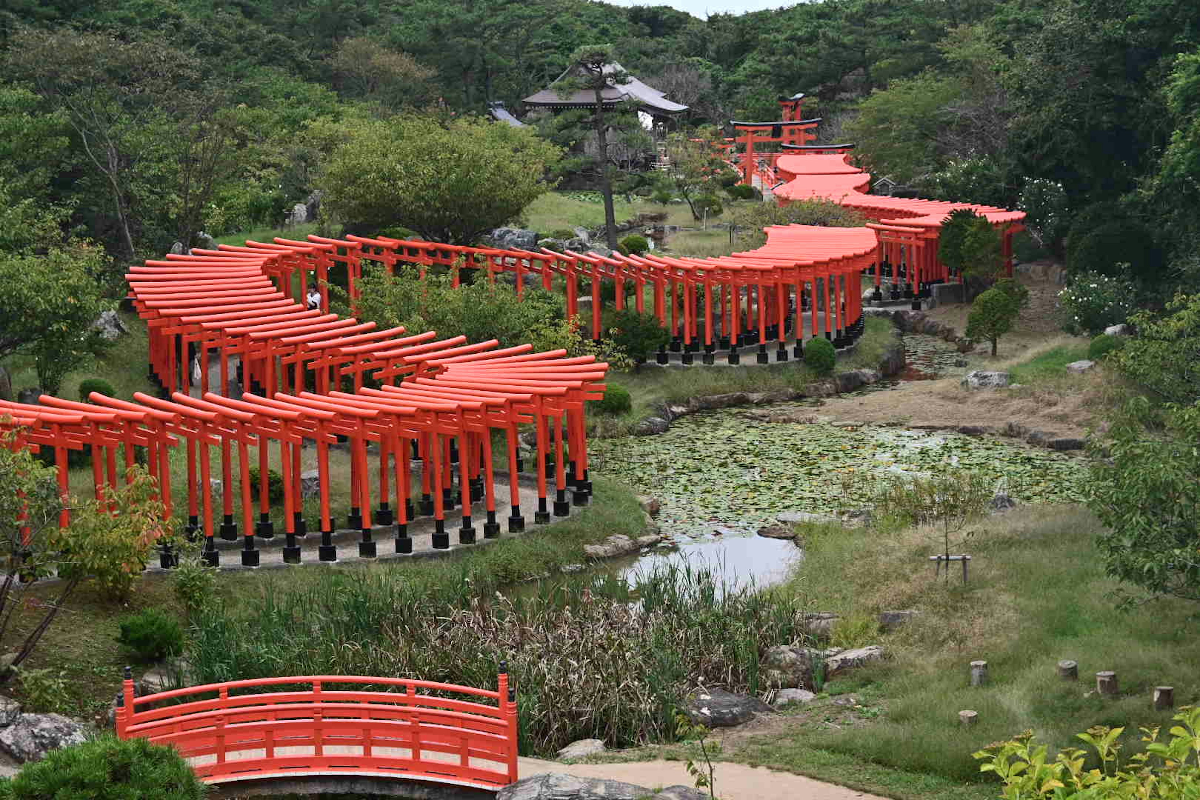 赤い鳥居が曲がりくねる庭園の景色 緑の木々と池が点在