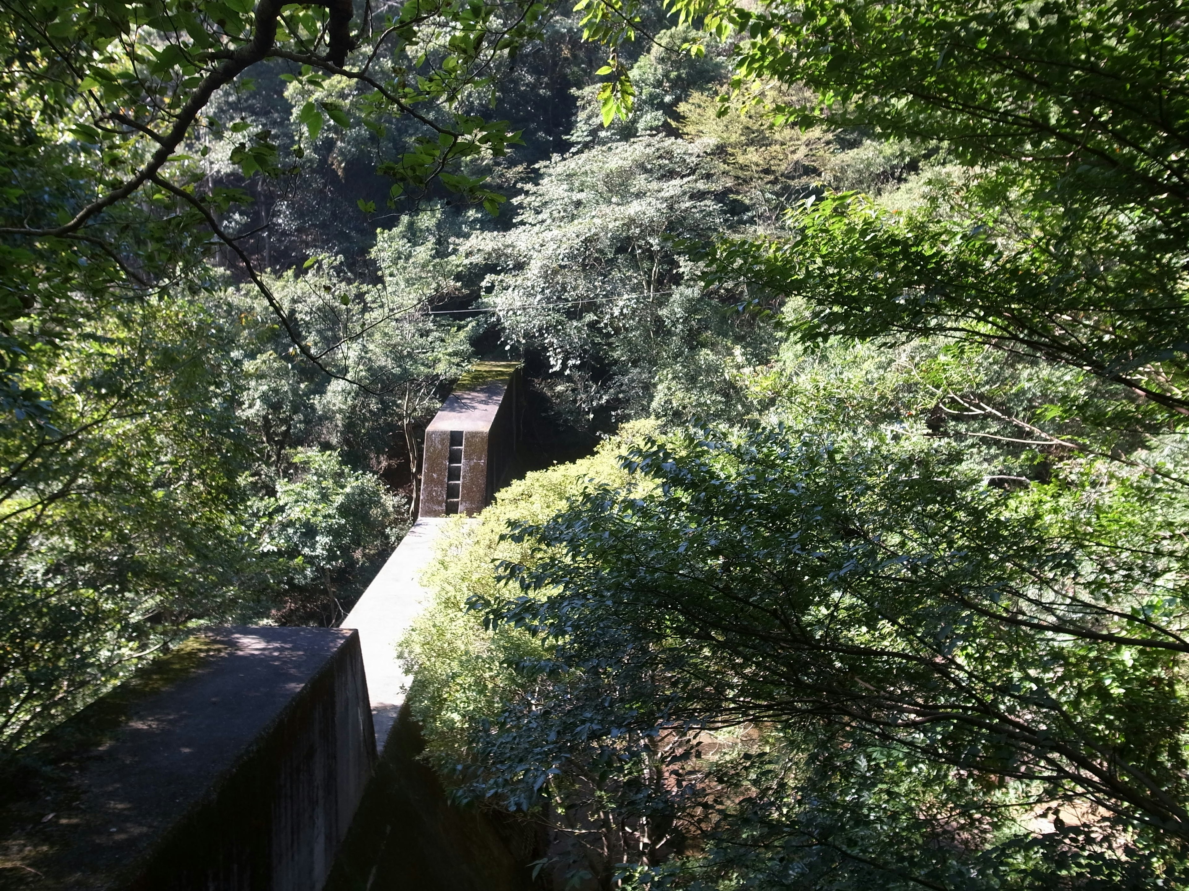 Vue pittoresque d'une structure près d'une rivière entourée de verdure luxuriante