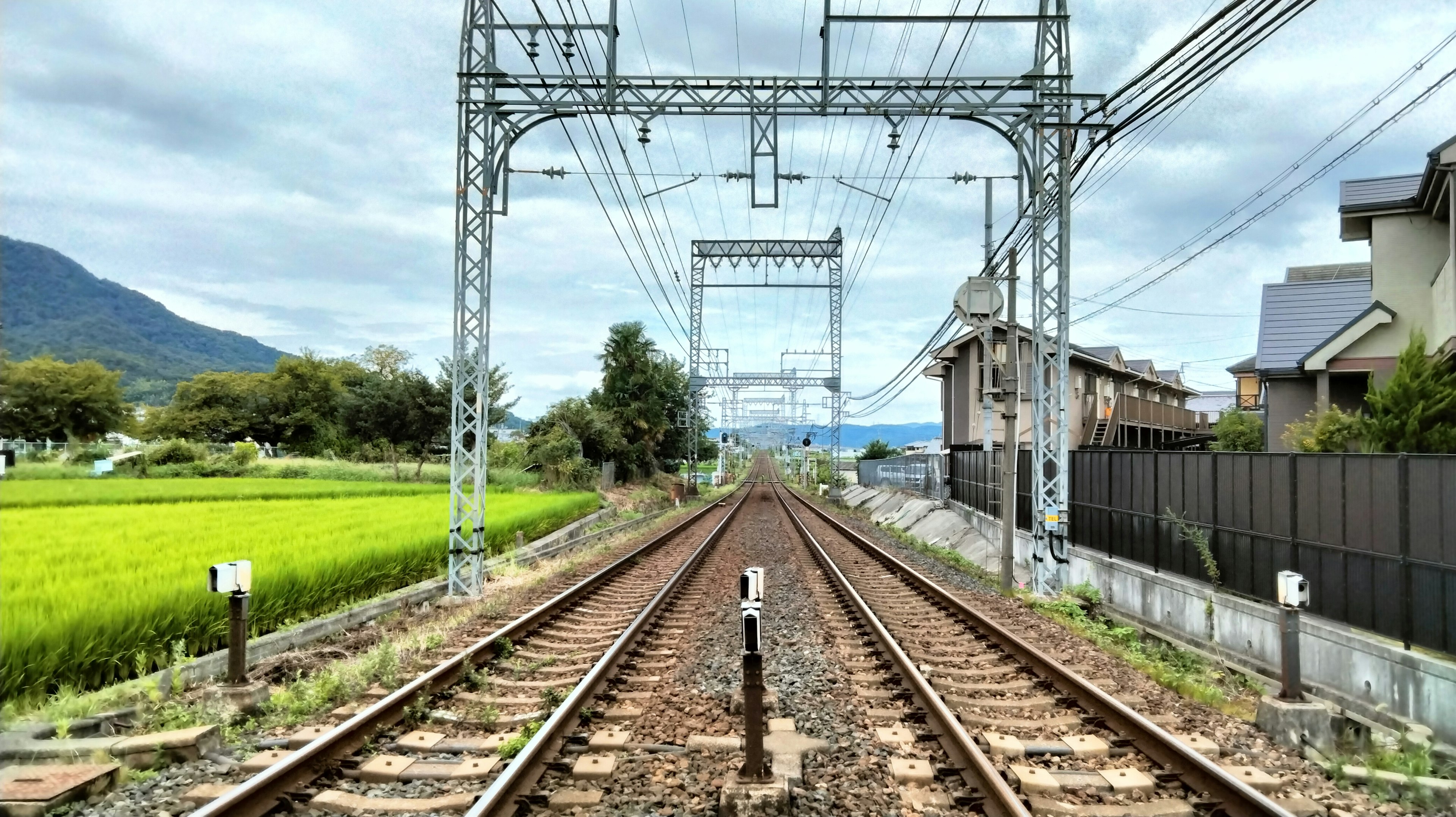 Vista de las vías del tren cerca de campos de arroz con cables aéreos