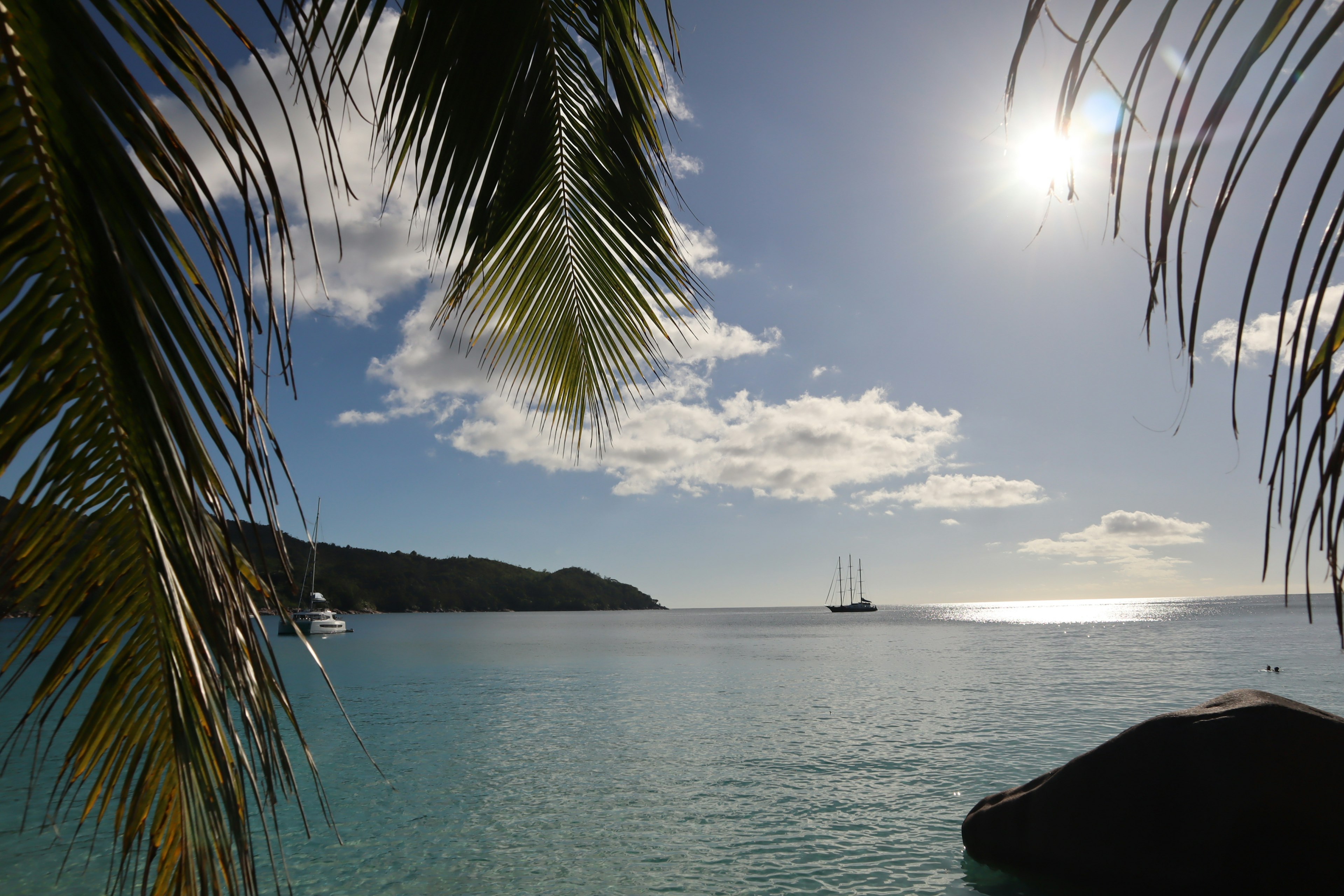 Vista escénica de una playa tranquila con agua azul y palmeras