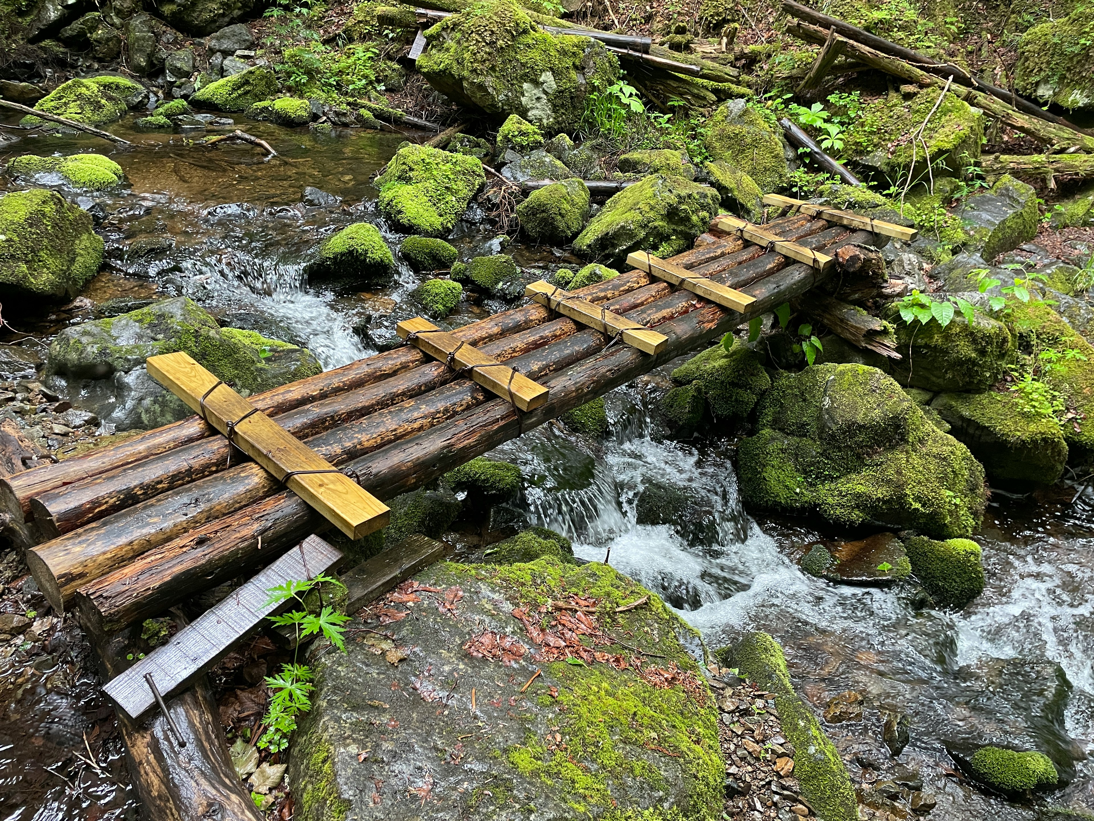 木製の橋が緑の苔に覆われた岩の上に架かっている