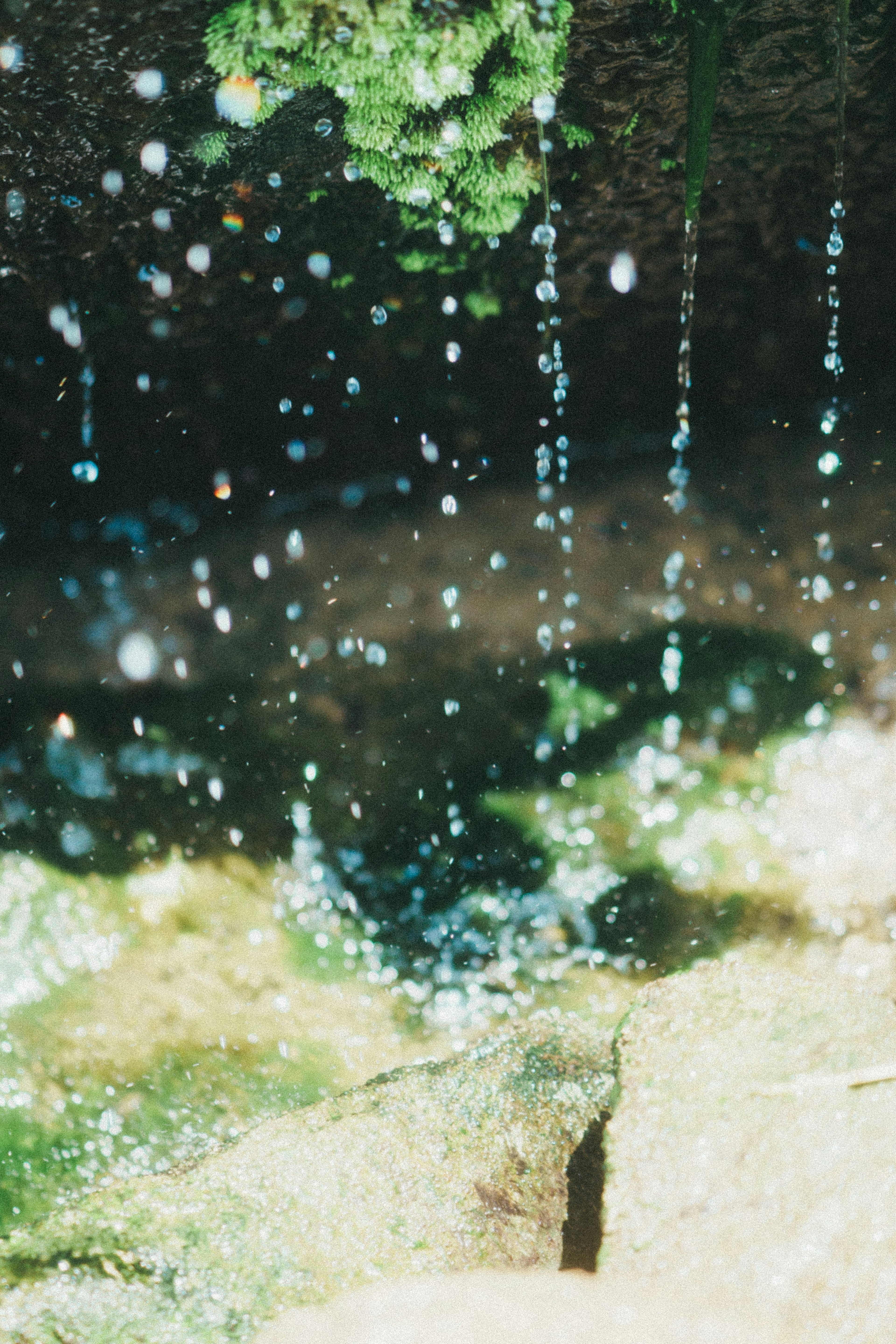 Immagine che mostra gocce d'acqua che cadono su pietre con vegetazione sullo sfondo