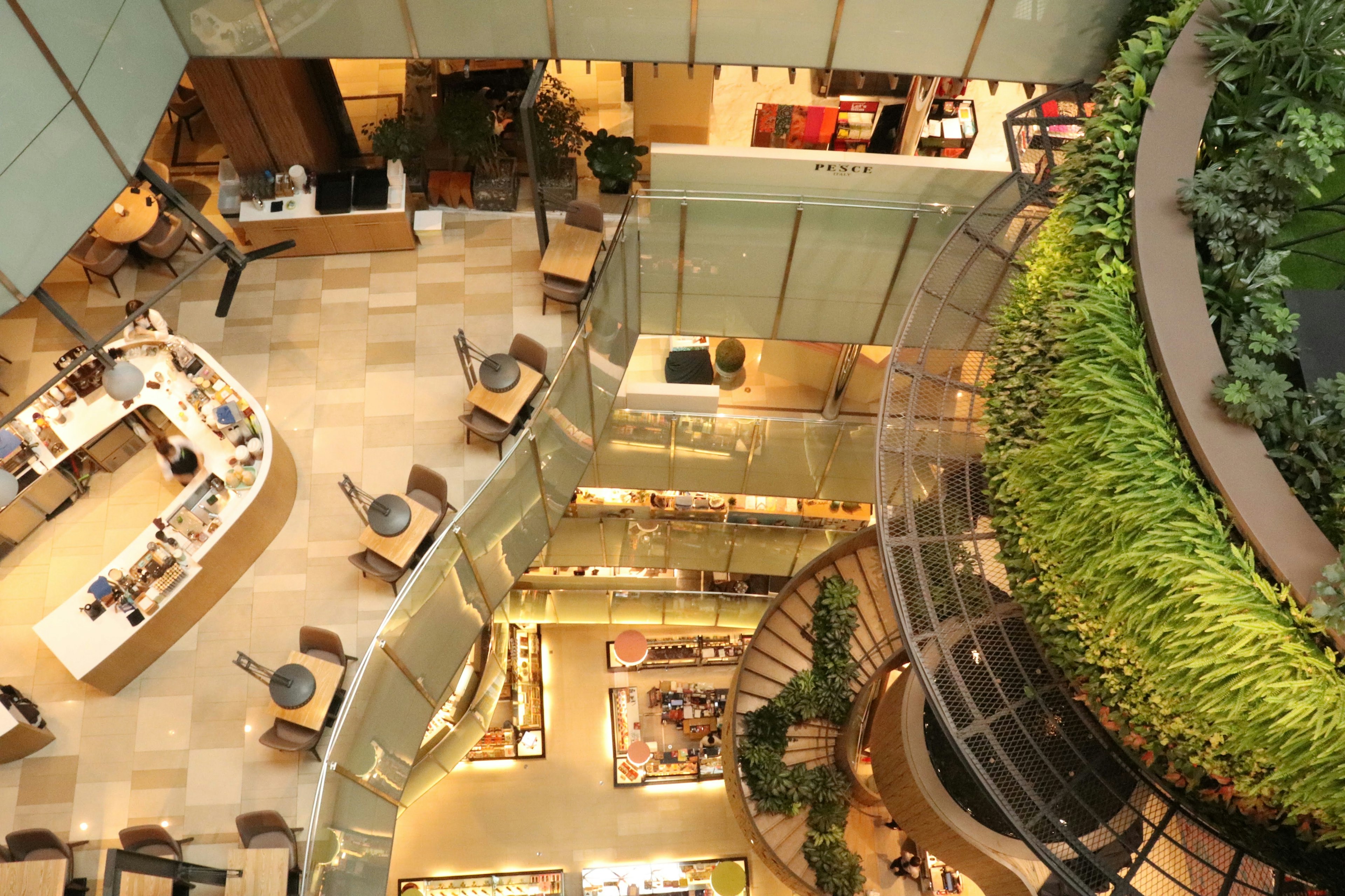 Vista aérea del interior de un café moderno con escalera de caracol y vegetación