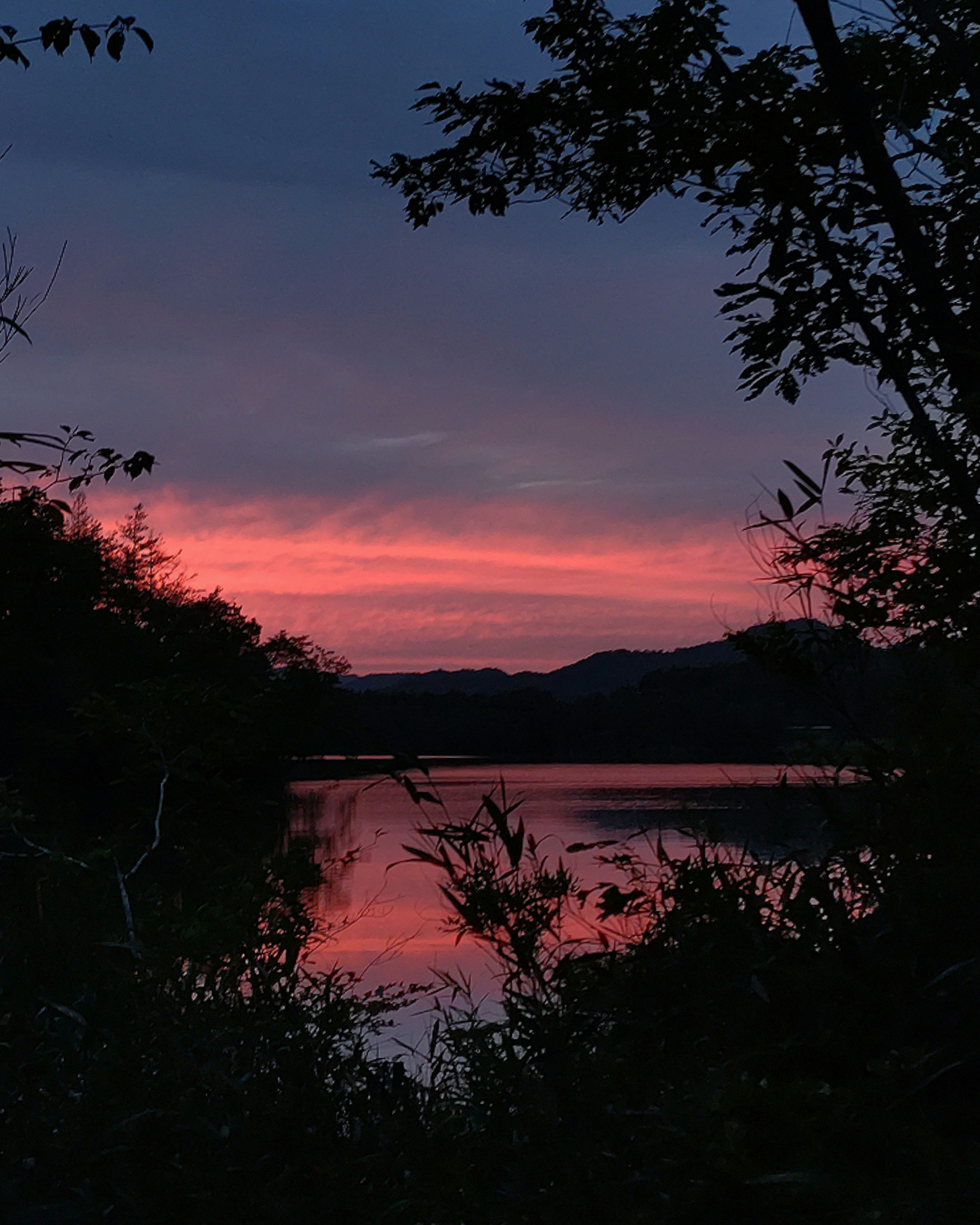 Lac pittoresque au coucher du soleil avec des teintes roses et violettes vives entouré d'arbres