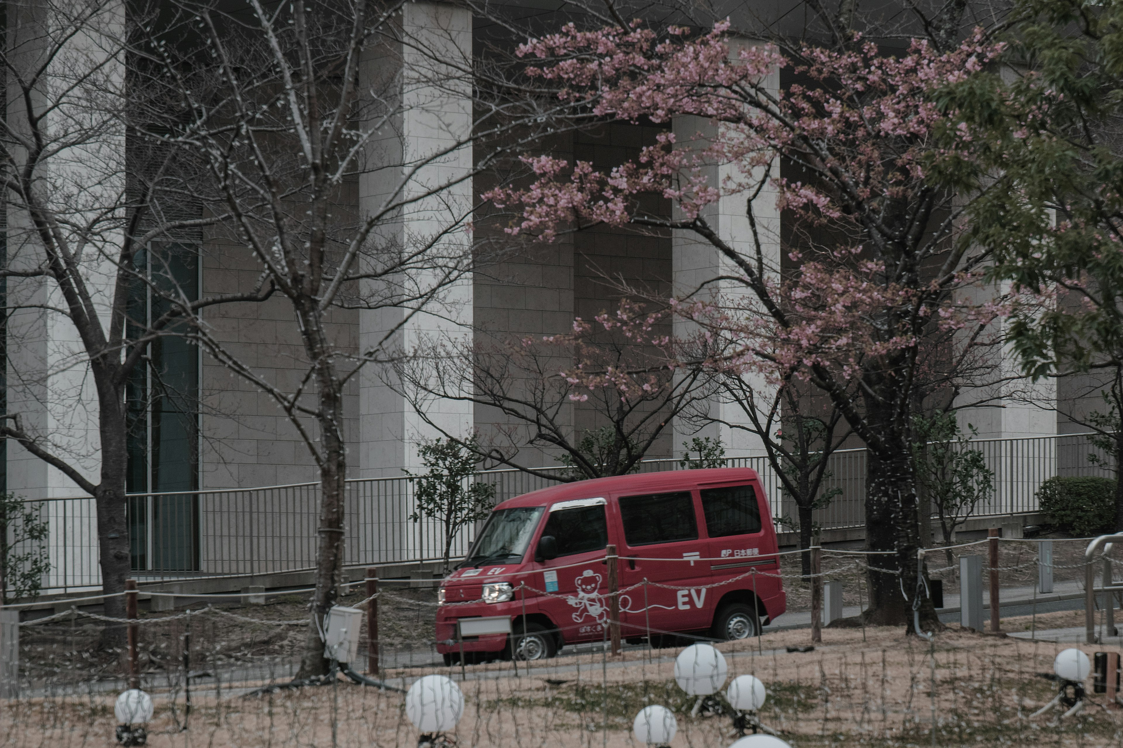 Vehículo rojo estacionado cerca de los cerezos en flor