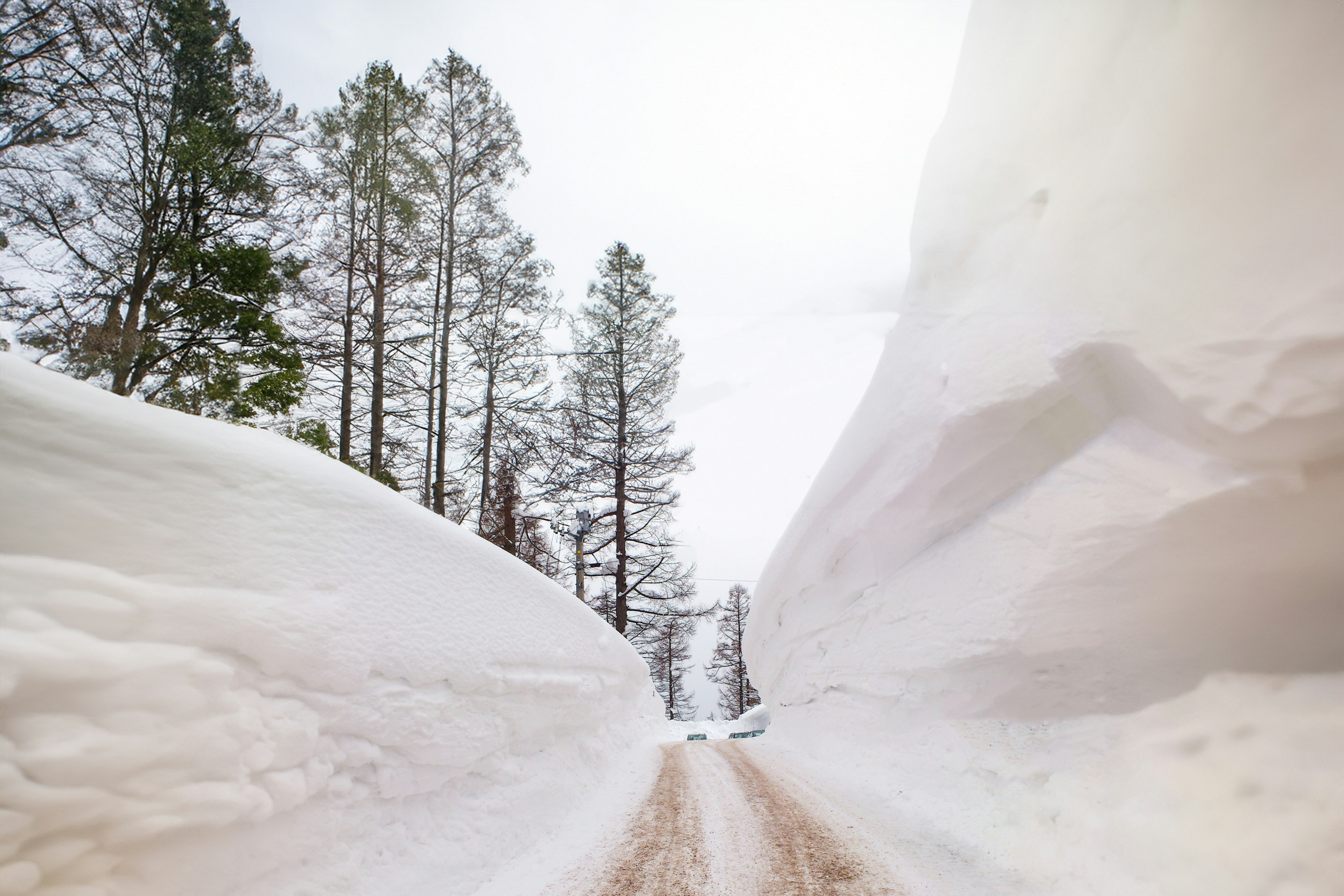 被高雪堤包围的雪-covered道路的风景