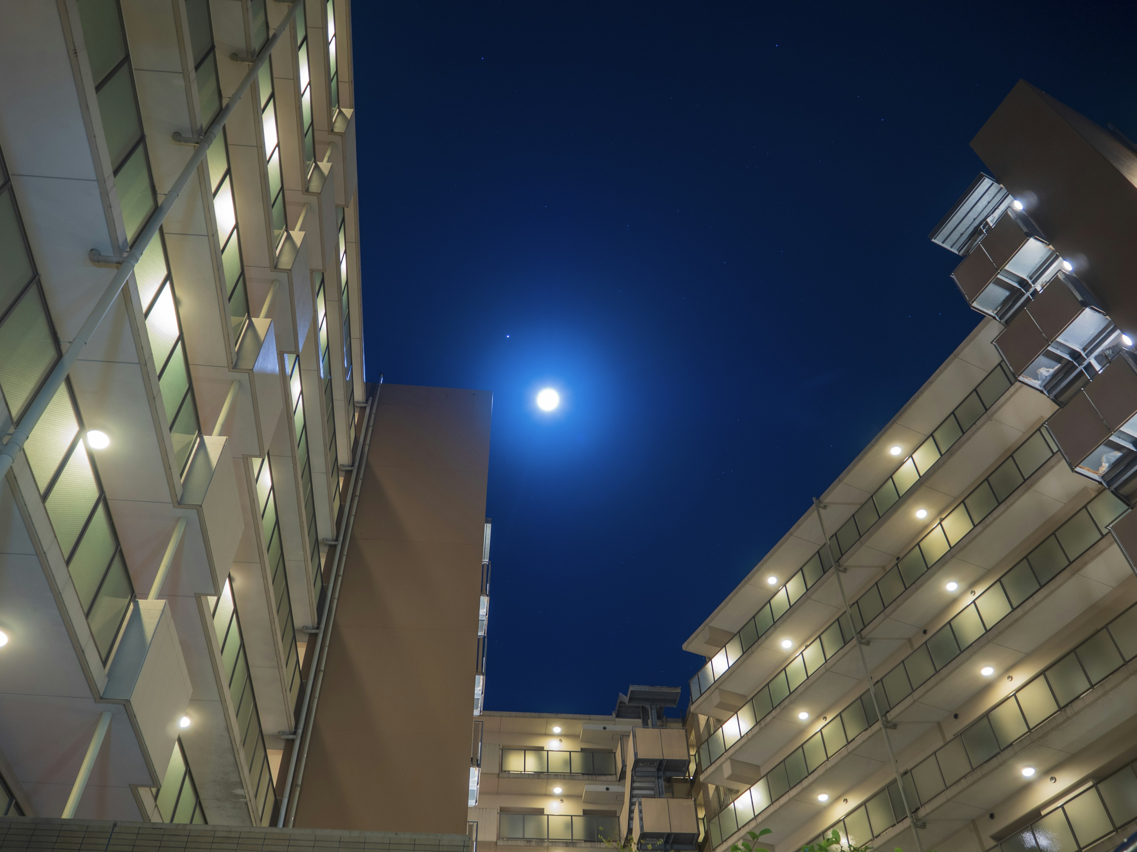 夜空に光る満月と高層ビルの間に広がる景色