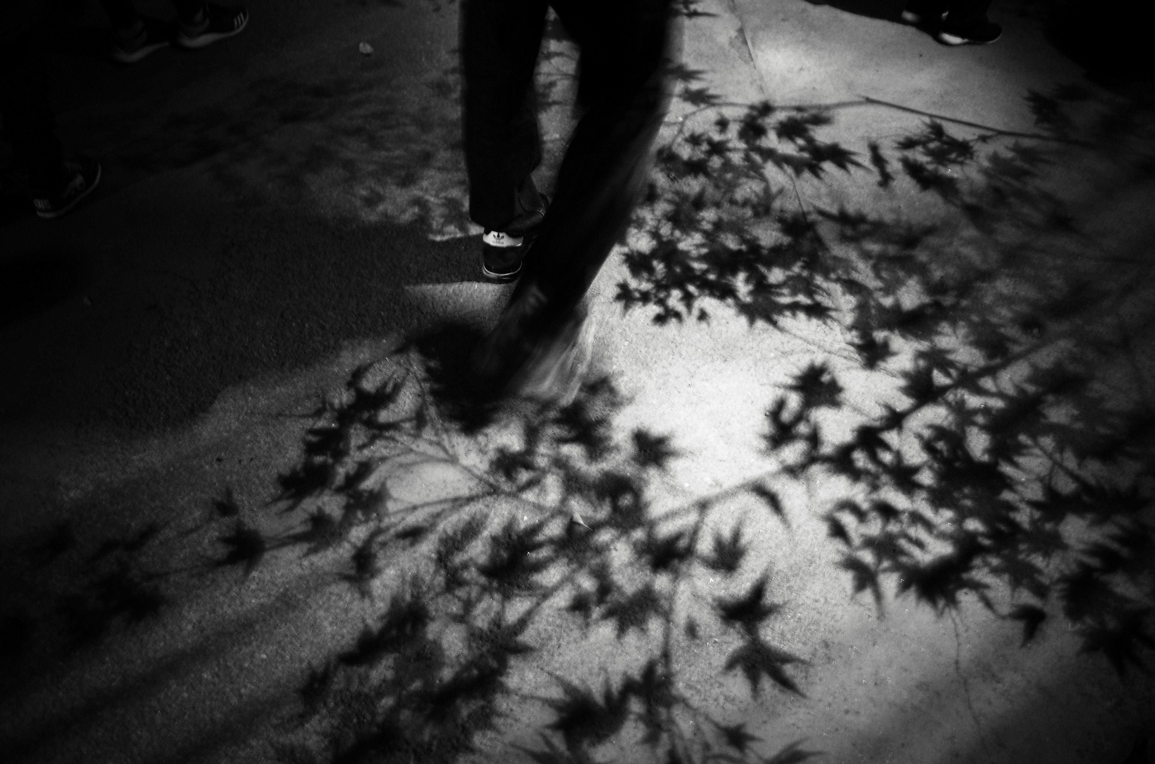 Footsteps creating shadows of leaves on the ground