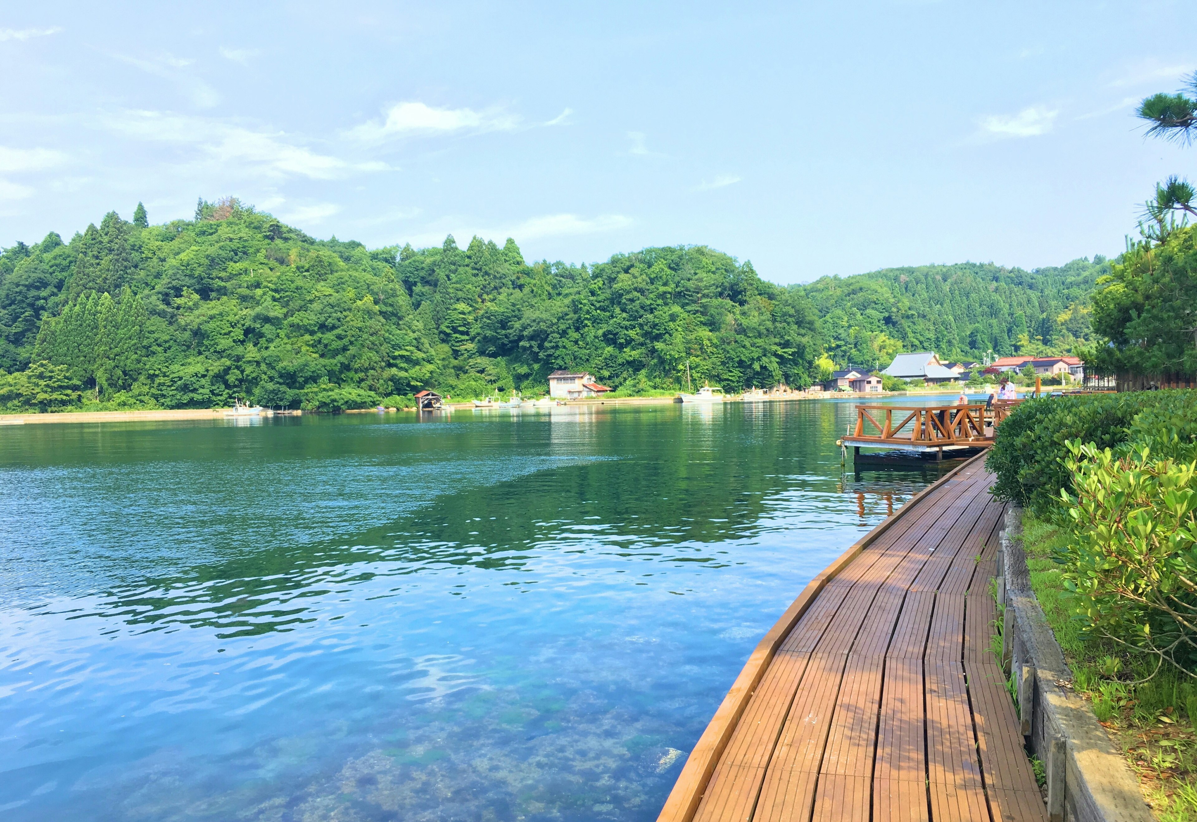 静かな湖と木製の遊歩道 緑豊かな山々が背景