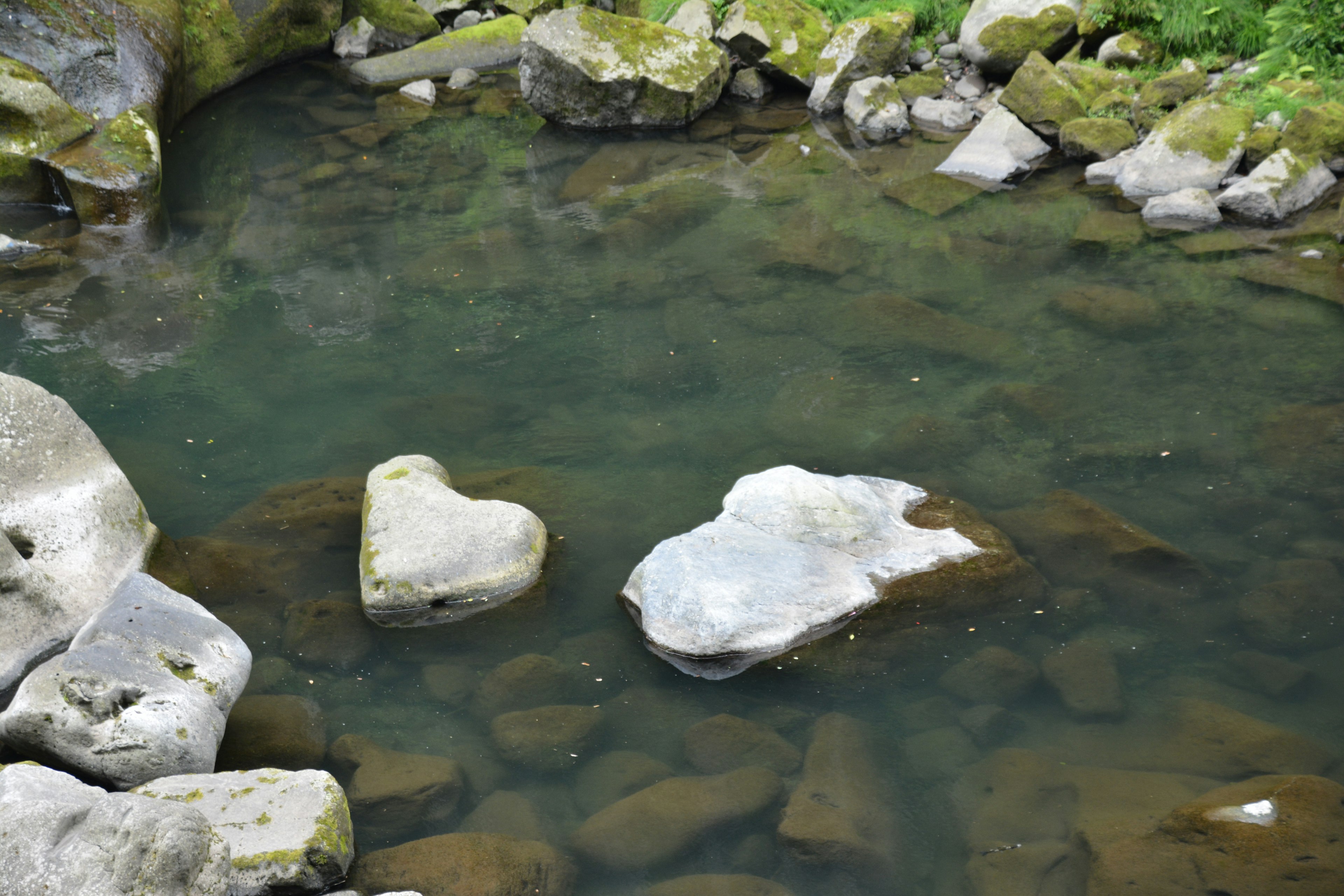 水中に浮かぶハート型の石と他の石がある風景