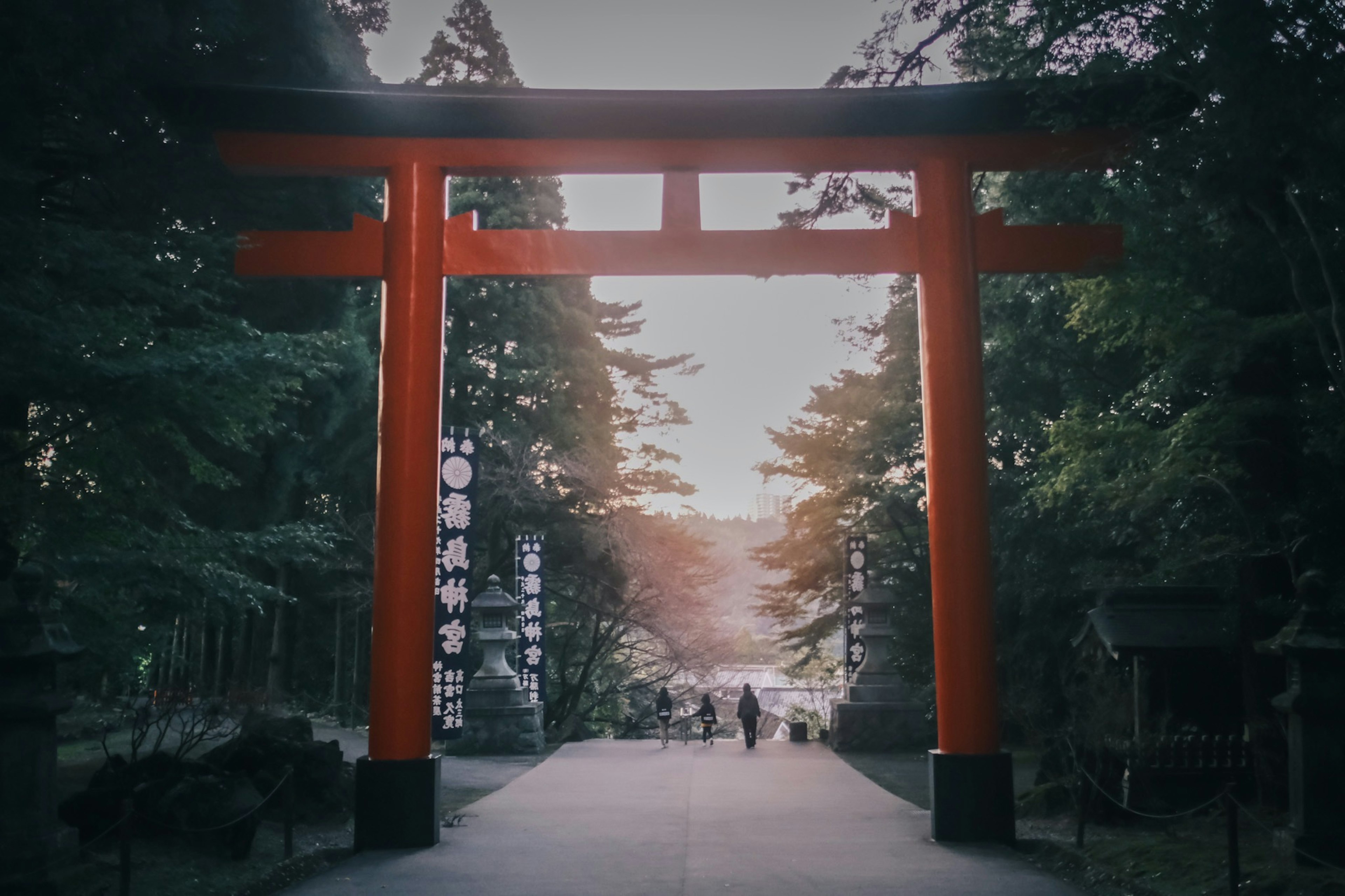 Una vista serena con un gate torii rosso circondato da alberi