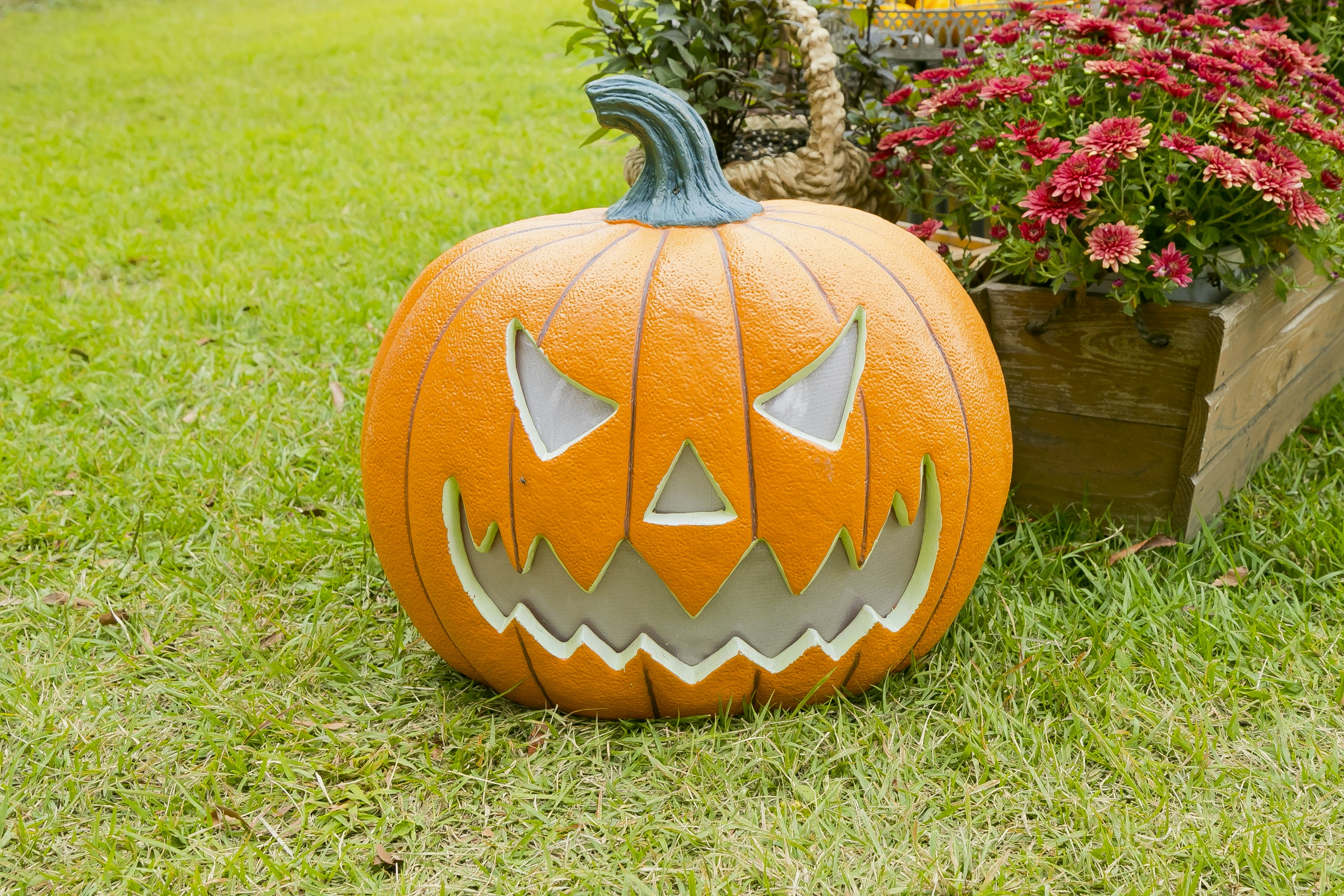 Halloween jack-o'-lantern on grass with a sinister expression