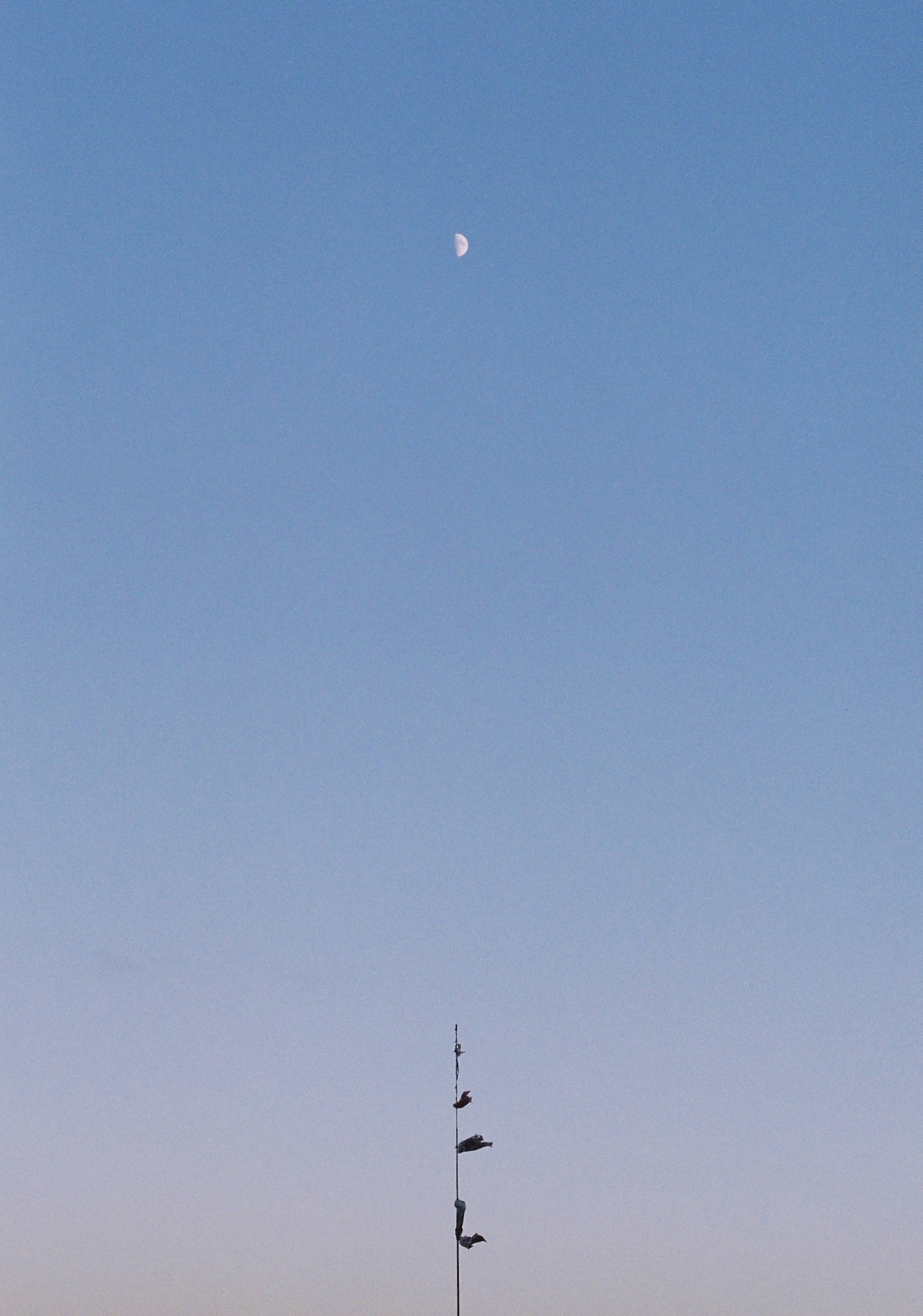 Silueta de una torre alta contra un cielo azul con una luna creciente