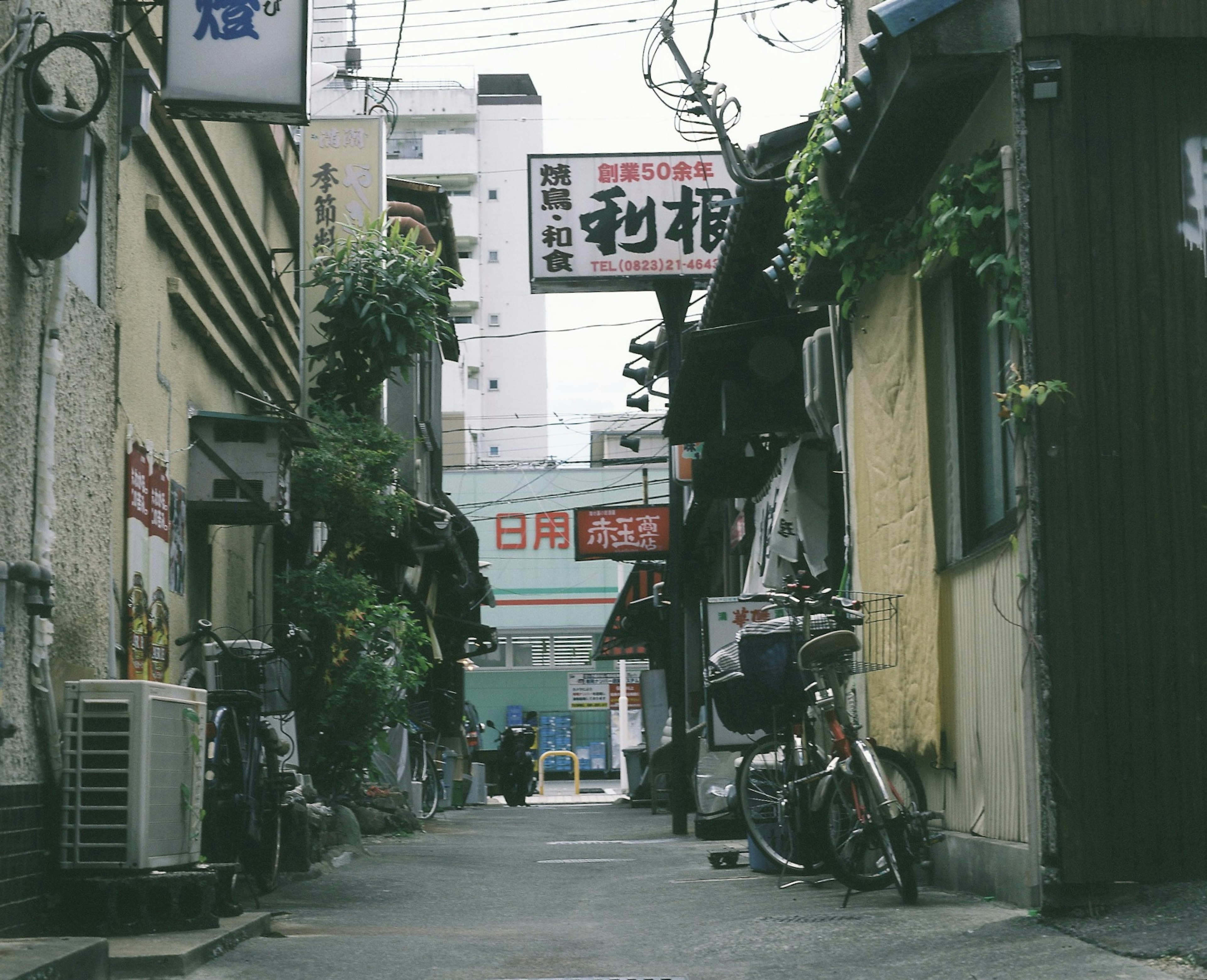 狭い路地に沿った古い建物と看板 自転車と植物が見える