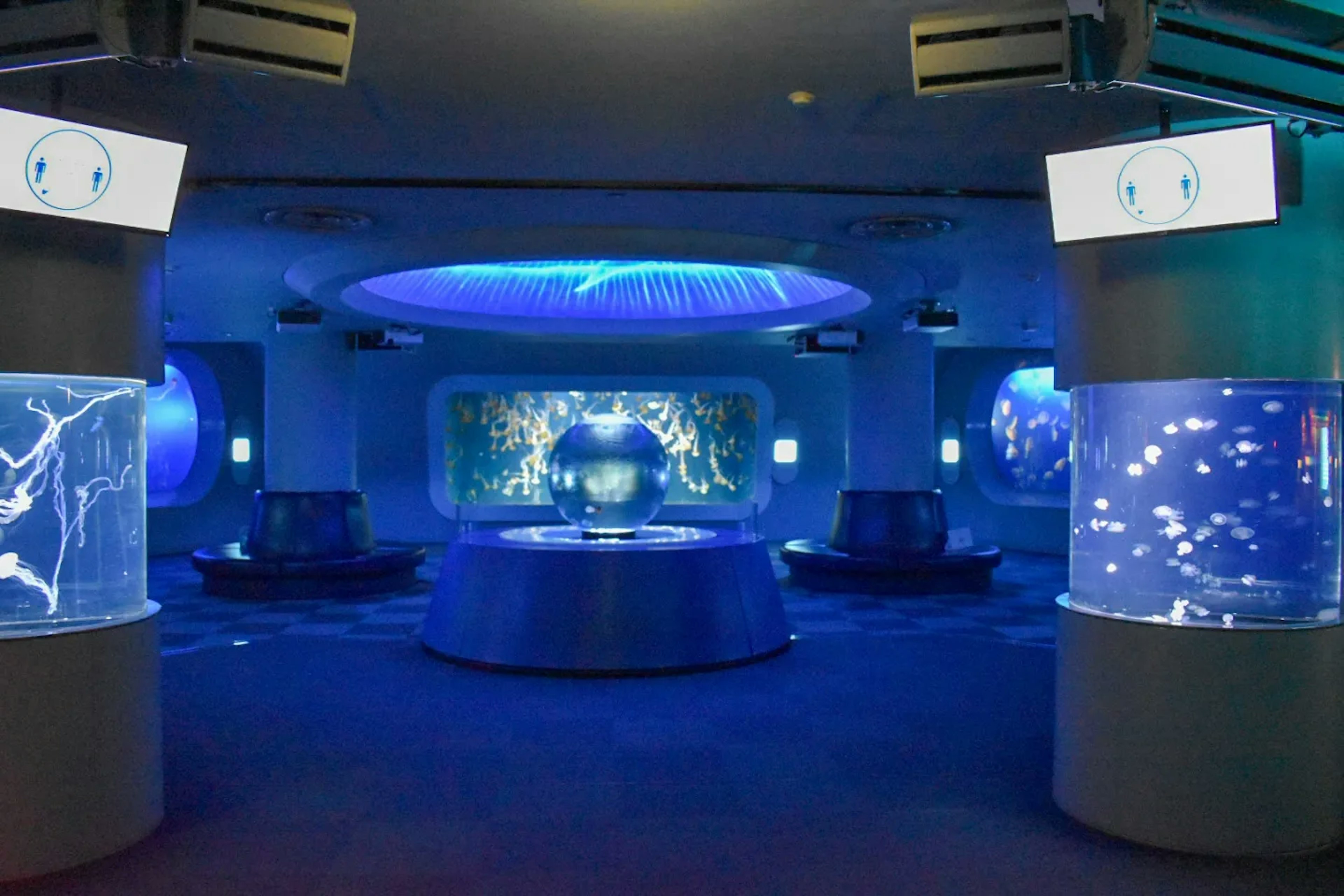 Interior of an aquarium with blue lighting featuring tanks and interactive displays