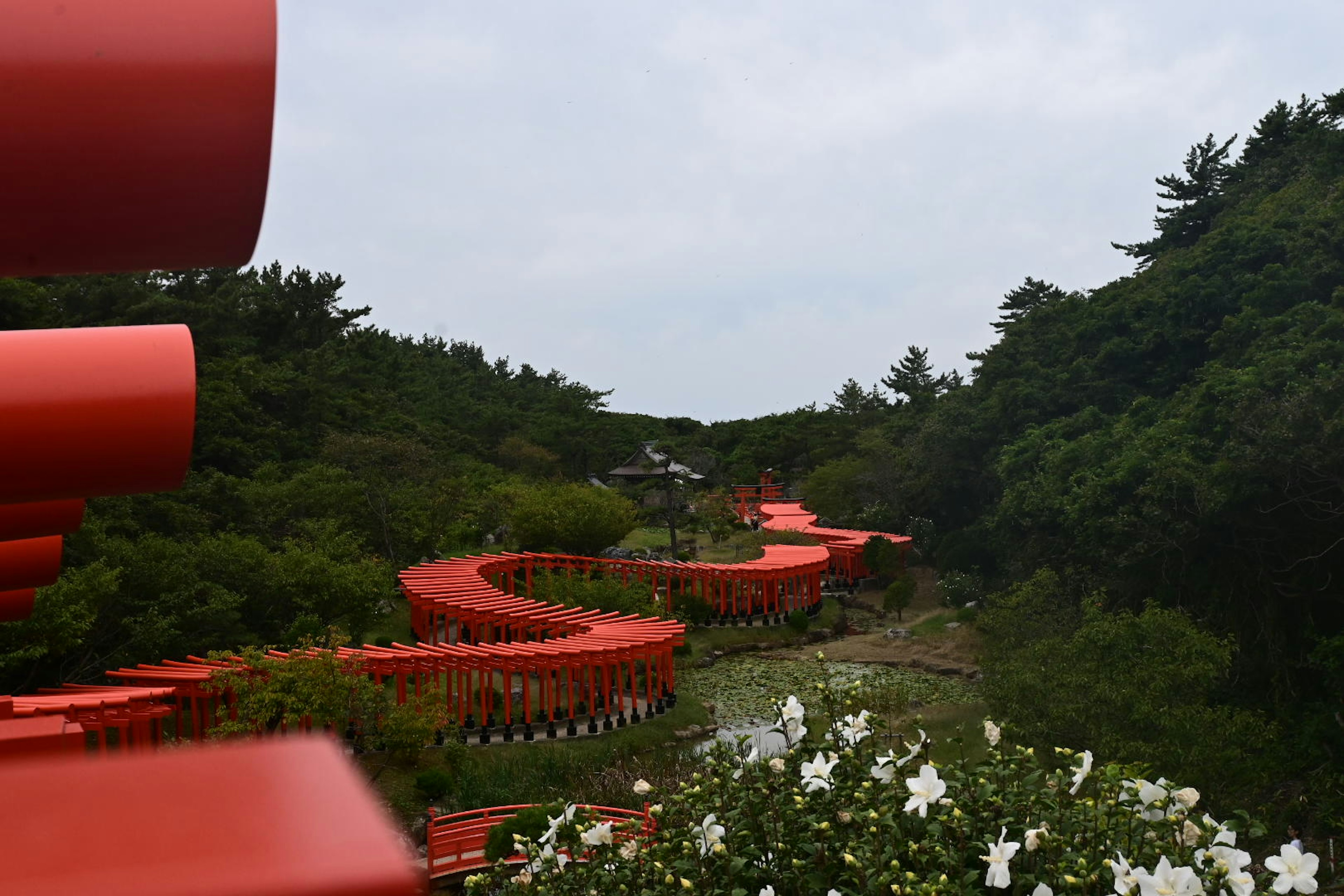 A winding red path surrounded by green trees and white flowers