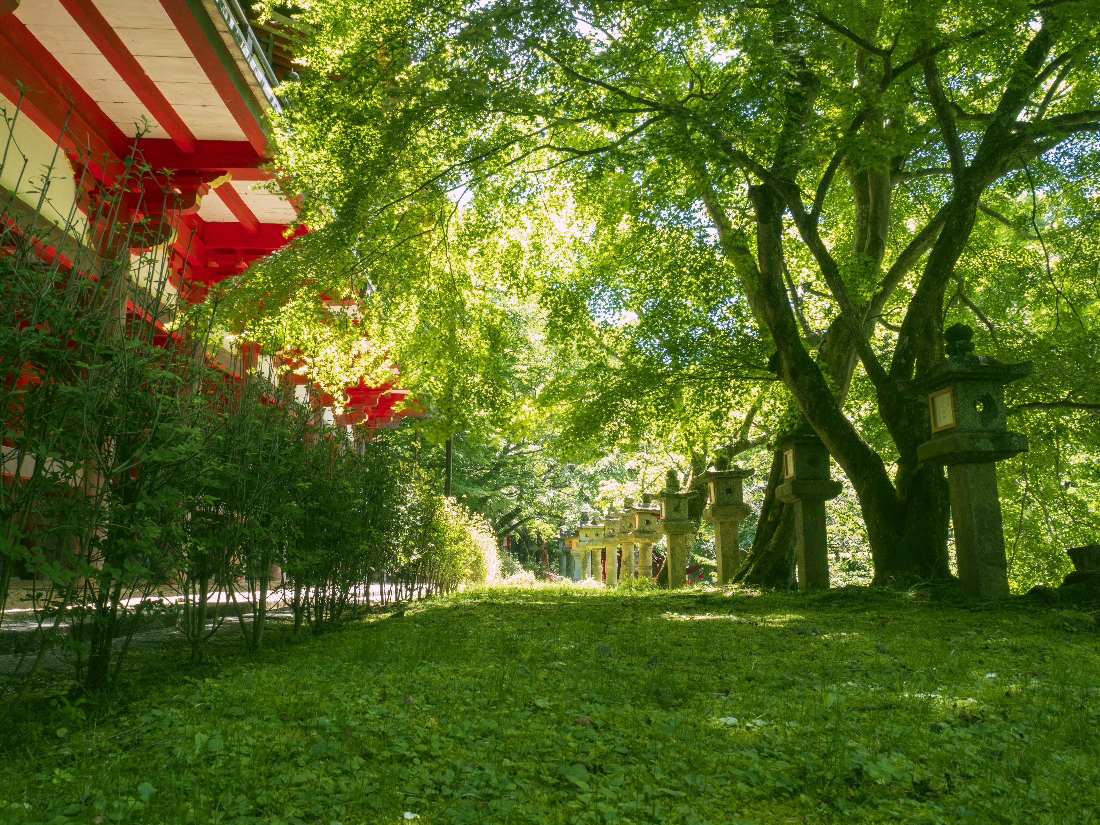 Üppiger Garten mit rotem Gebäude und Ste lanternen