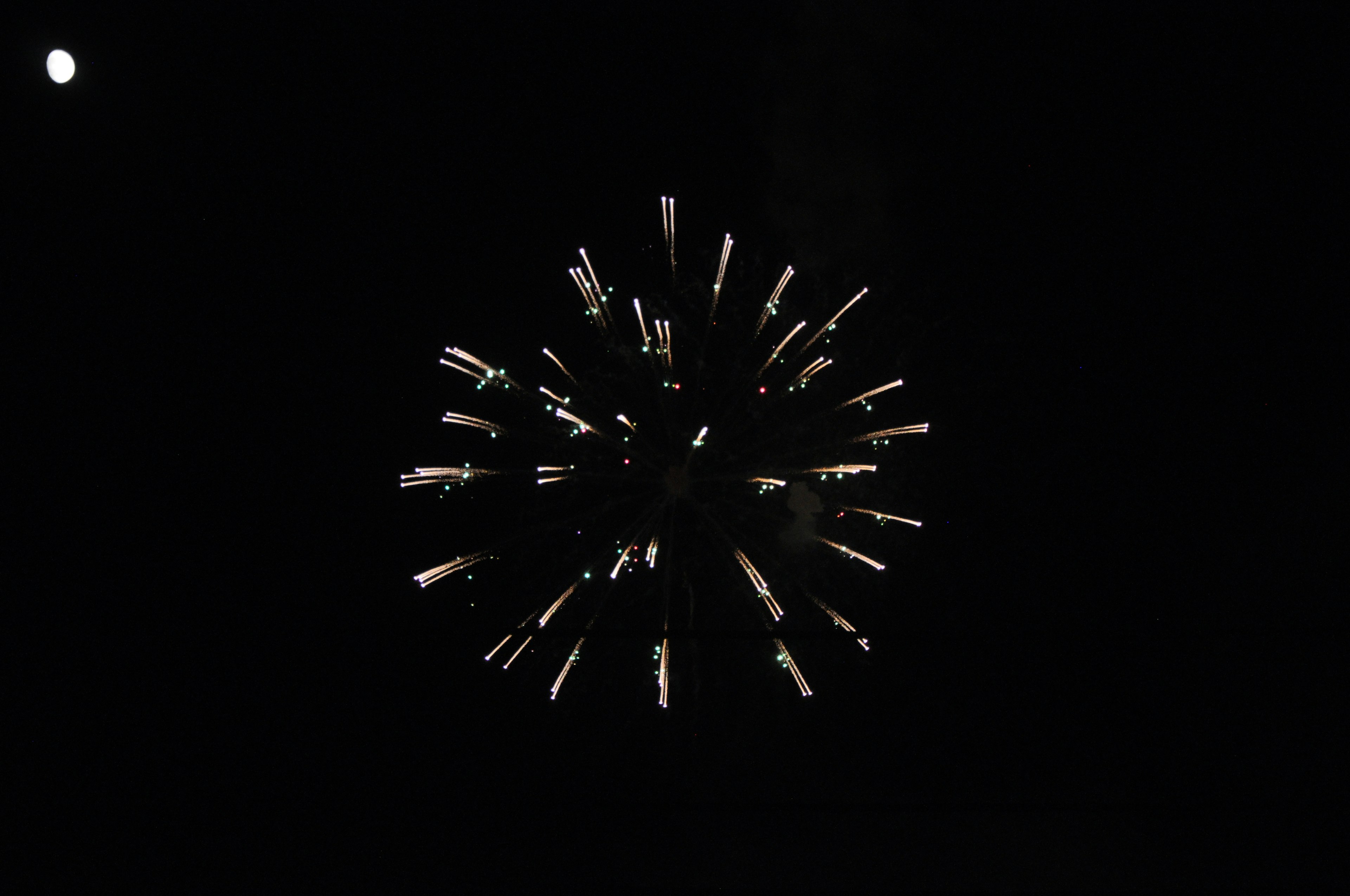 Fireworks explosion against a black background