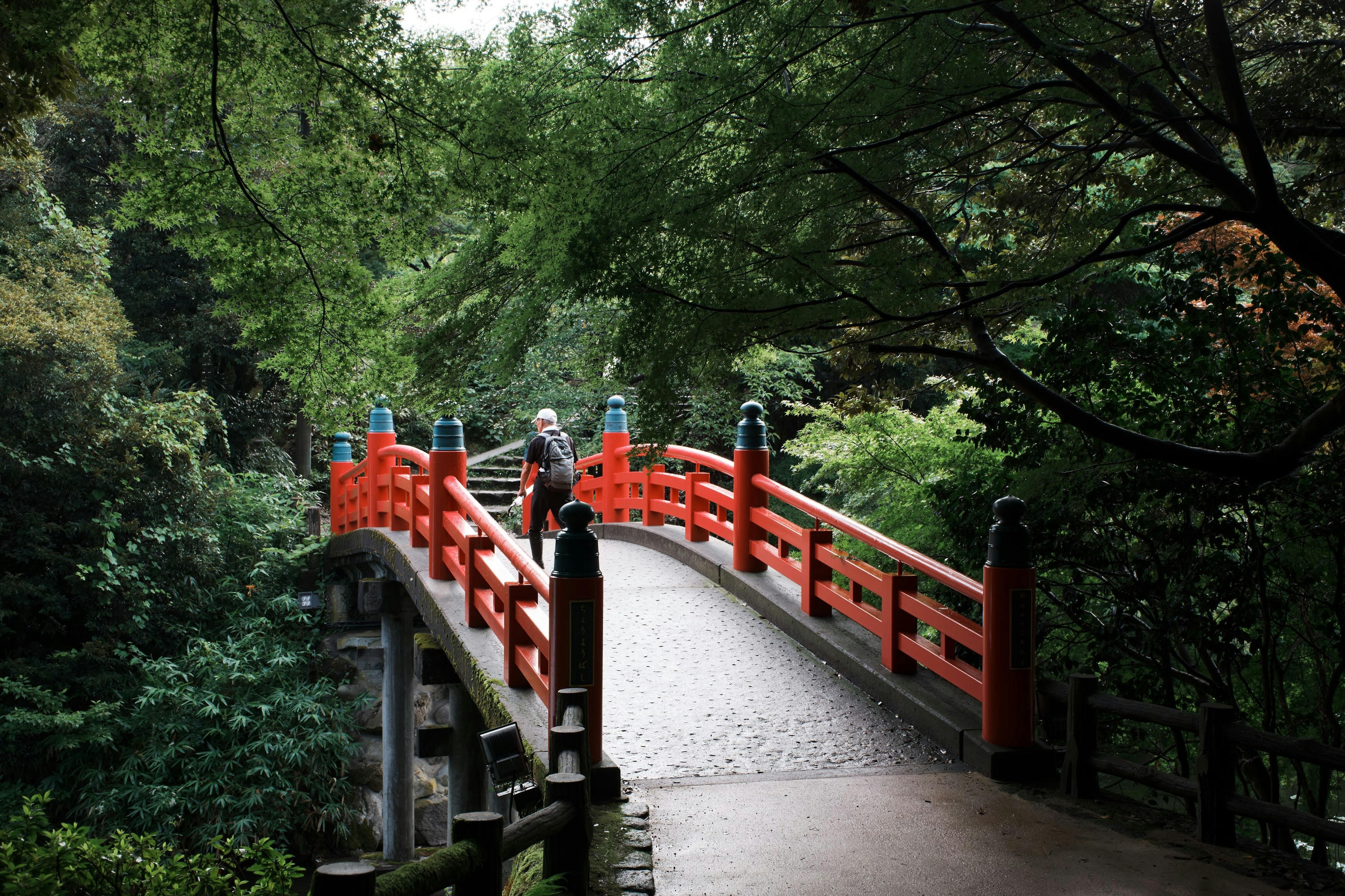 A serene landscape featuring a red bridge surrounded by lush green trees