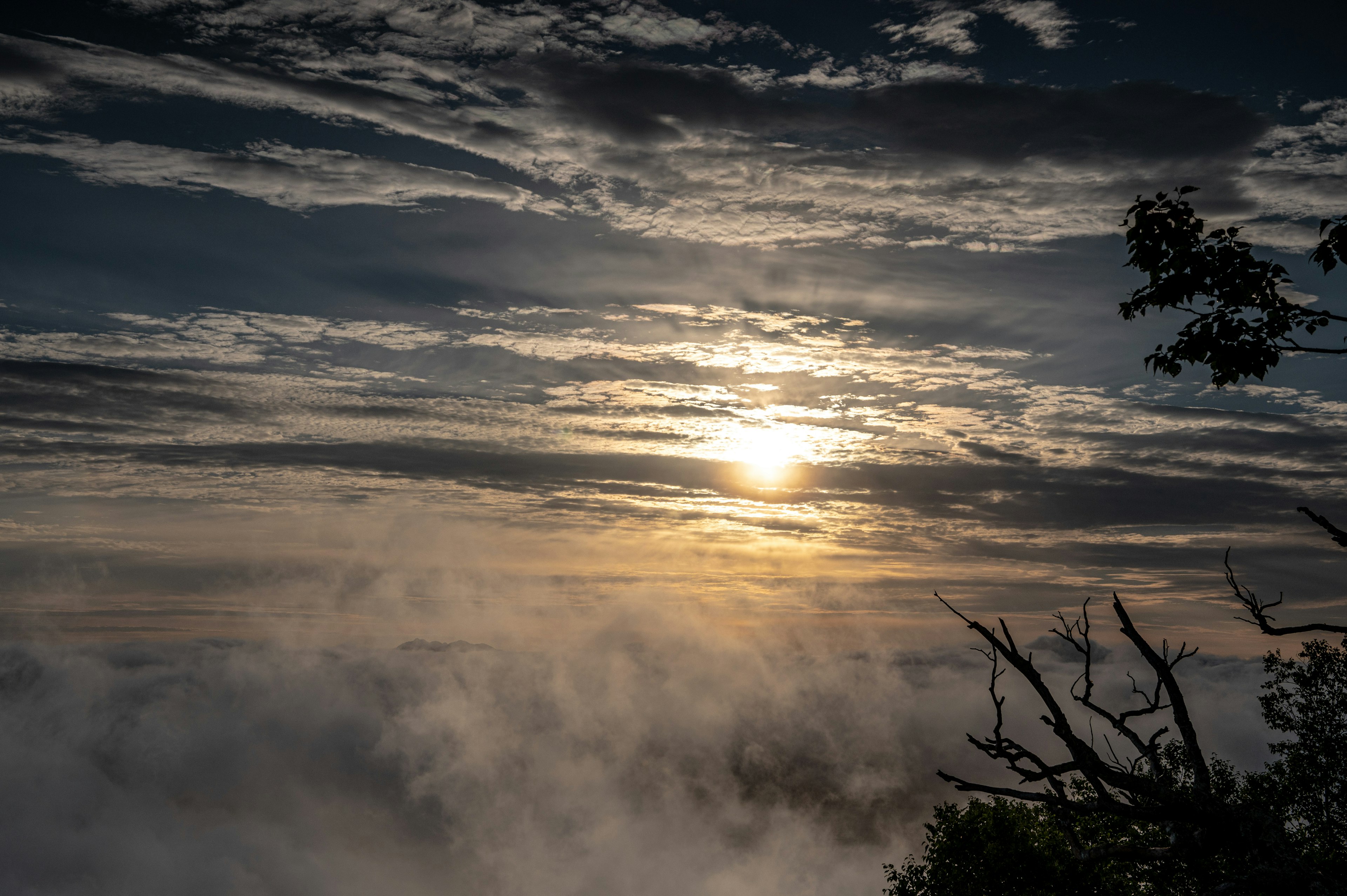 霧の中に沈む夕日と雲の美しい風景