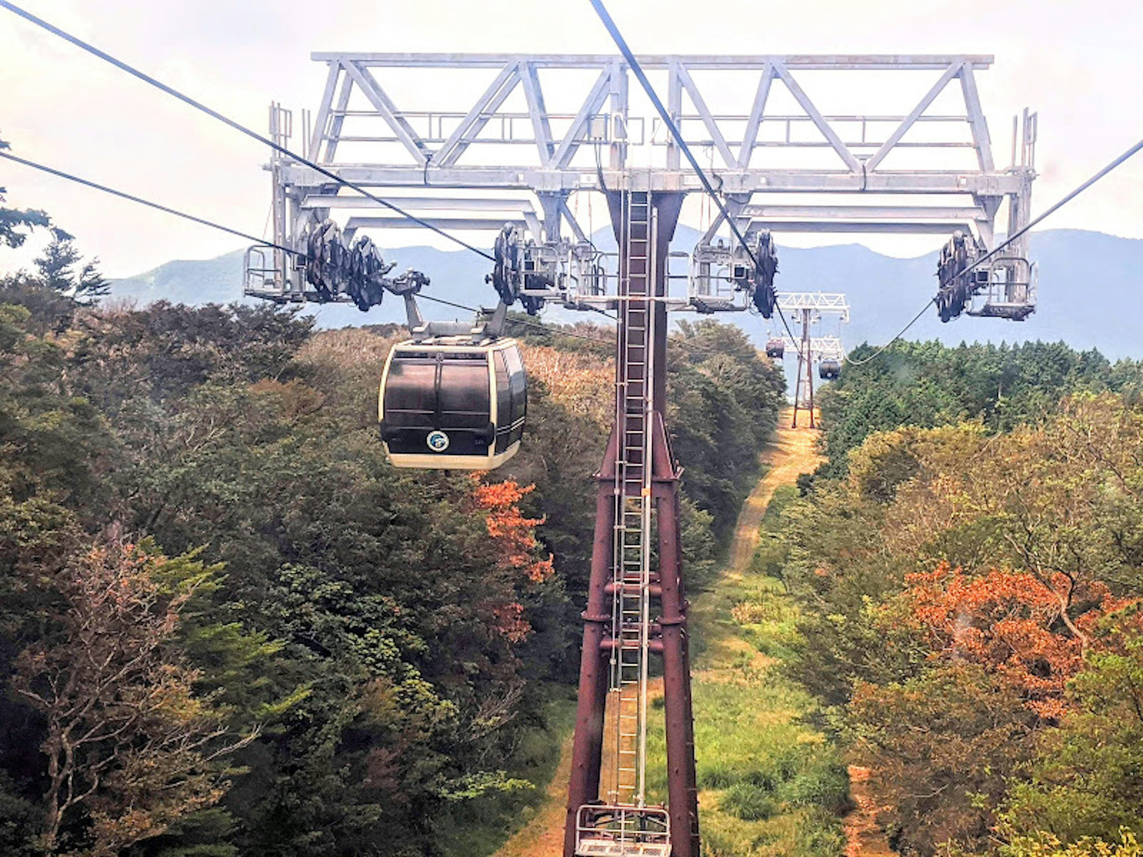 A cable car traversing through a forested area