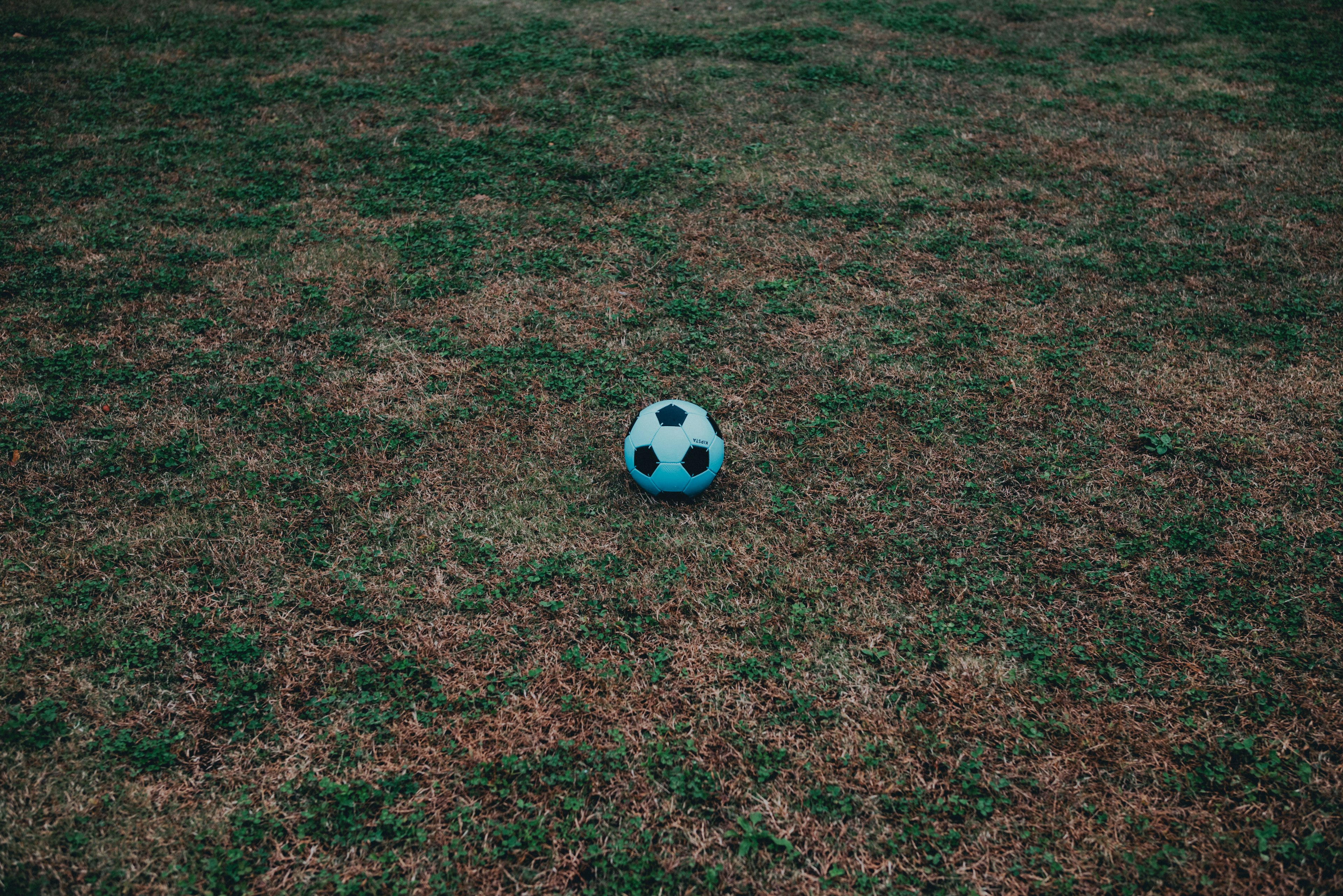 A blue soccer ball resting on dry grass