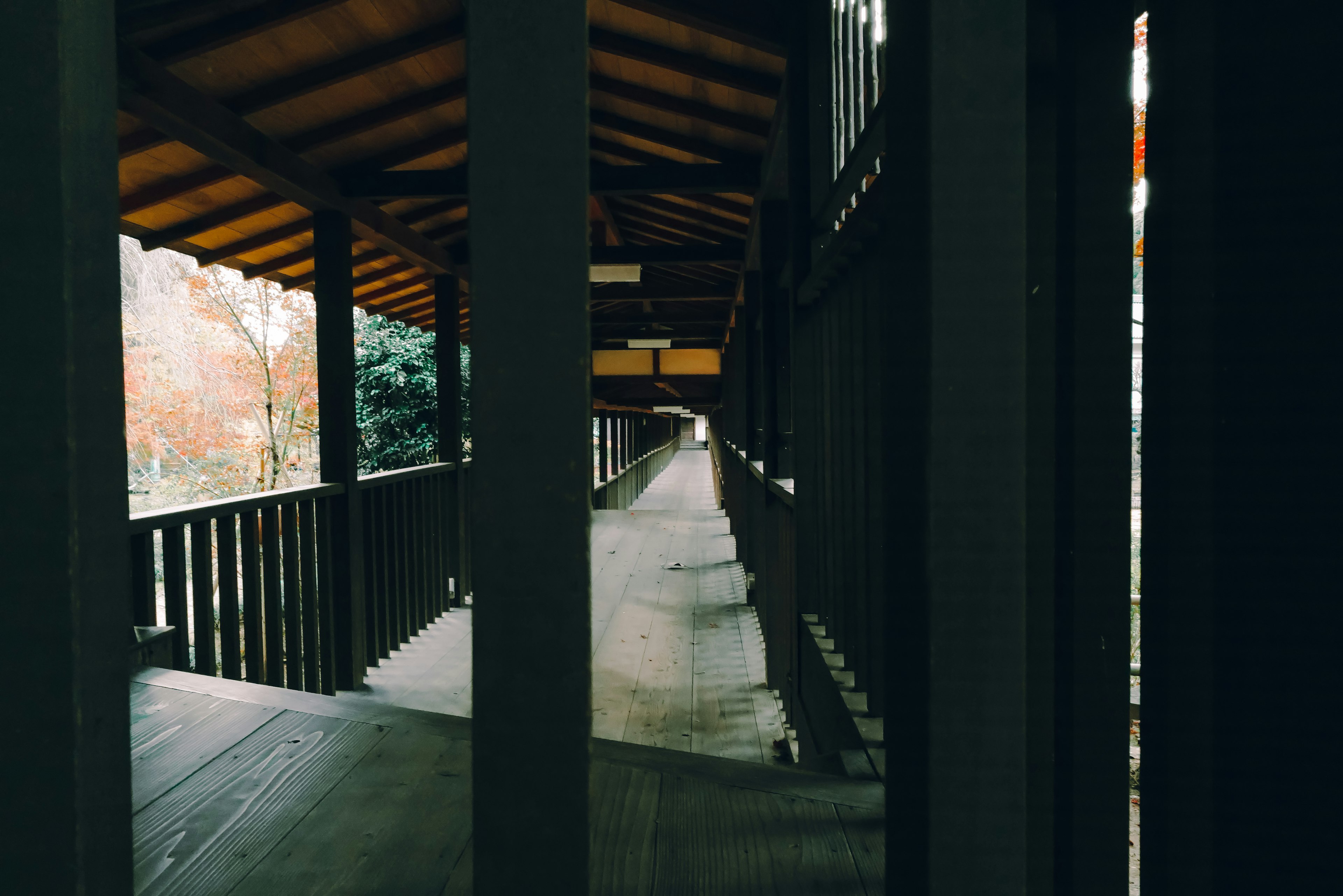 Foto di un corridoio in legno con un tetto che conduce a un sentiero in lontananza