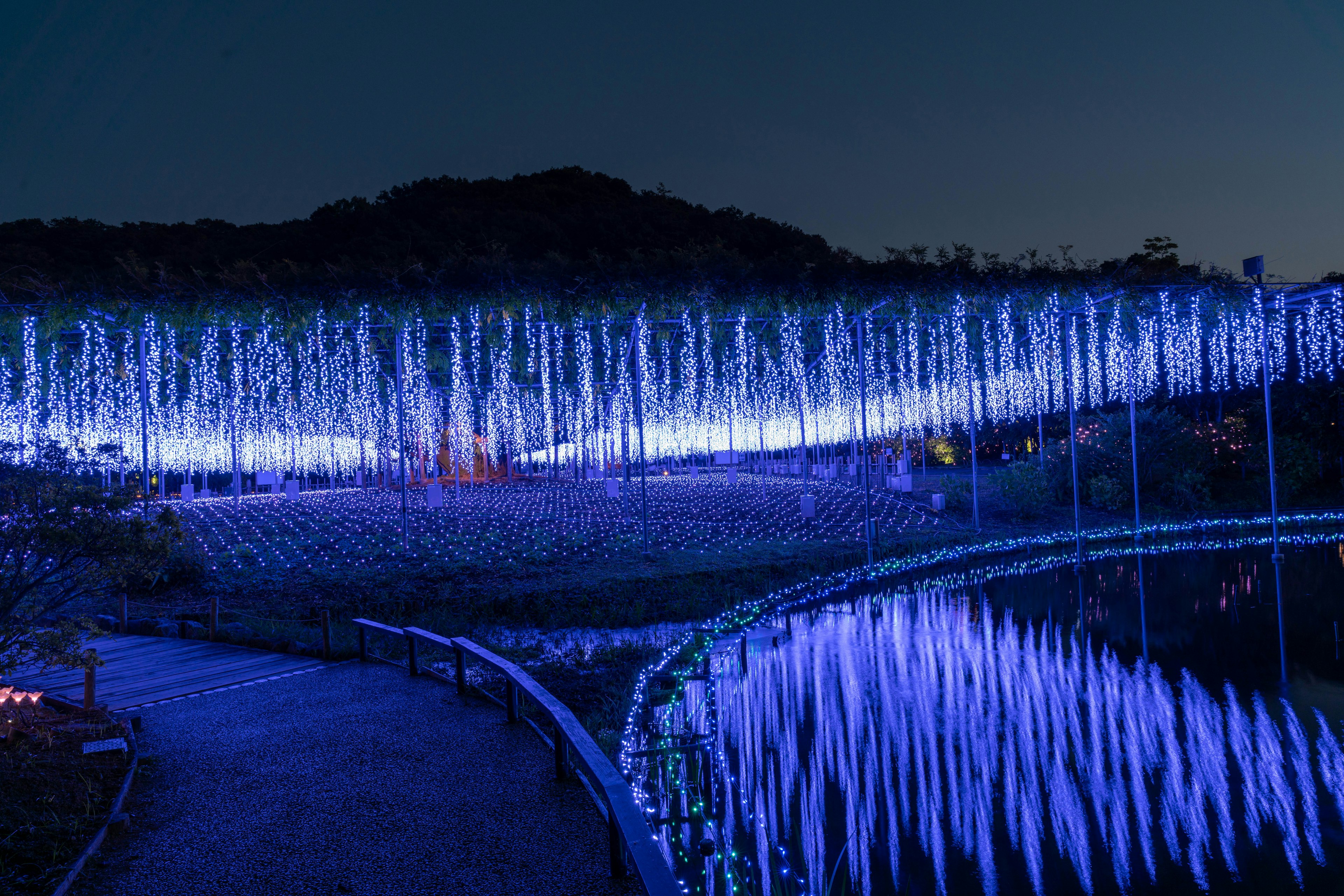 Vue nocturne d'un parc illuminé par des décorations lumineuses bleues