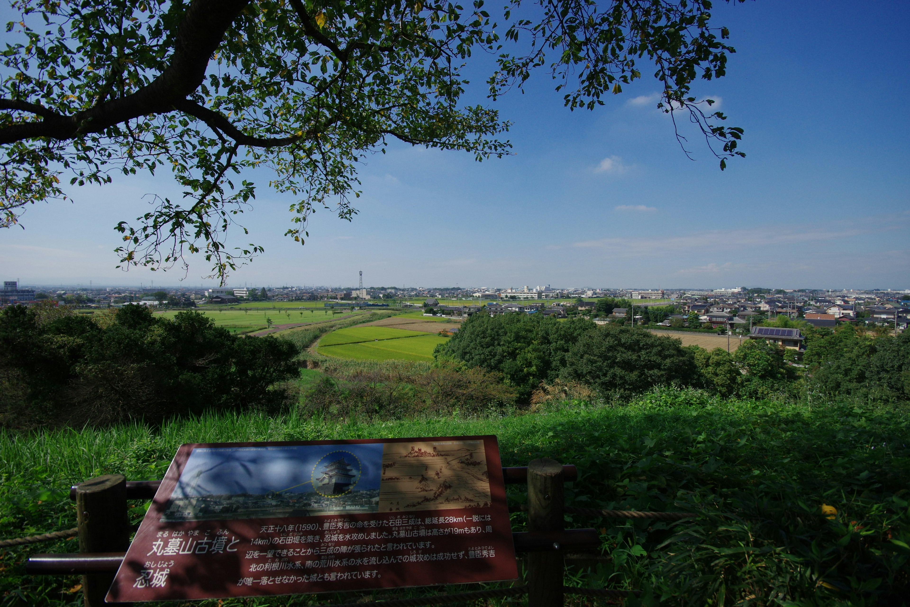 緑豊かな風景と青い空の下に広がる田園地帯の眺望