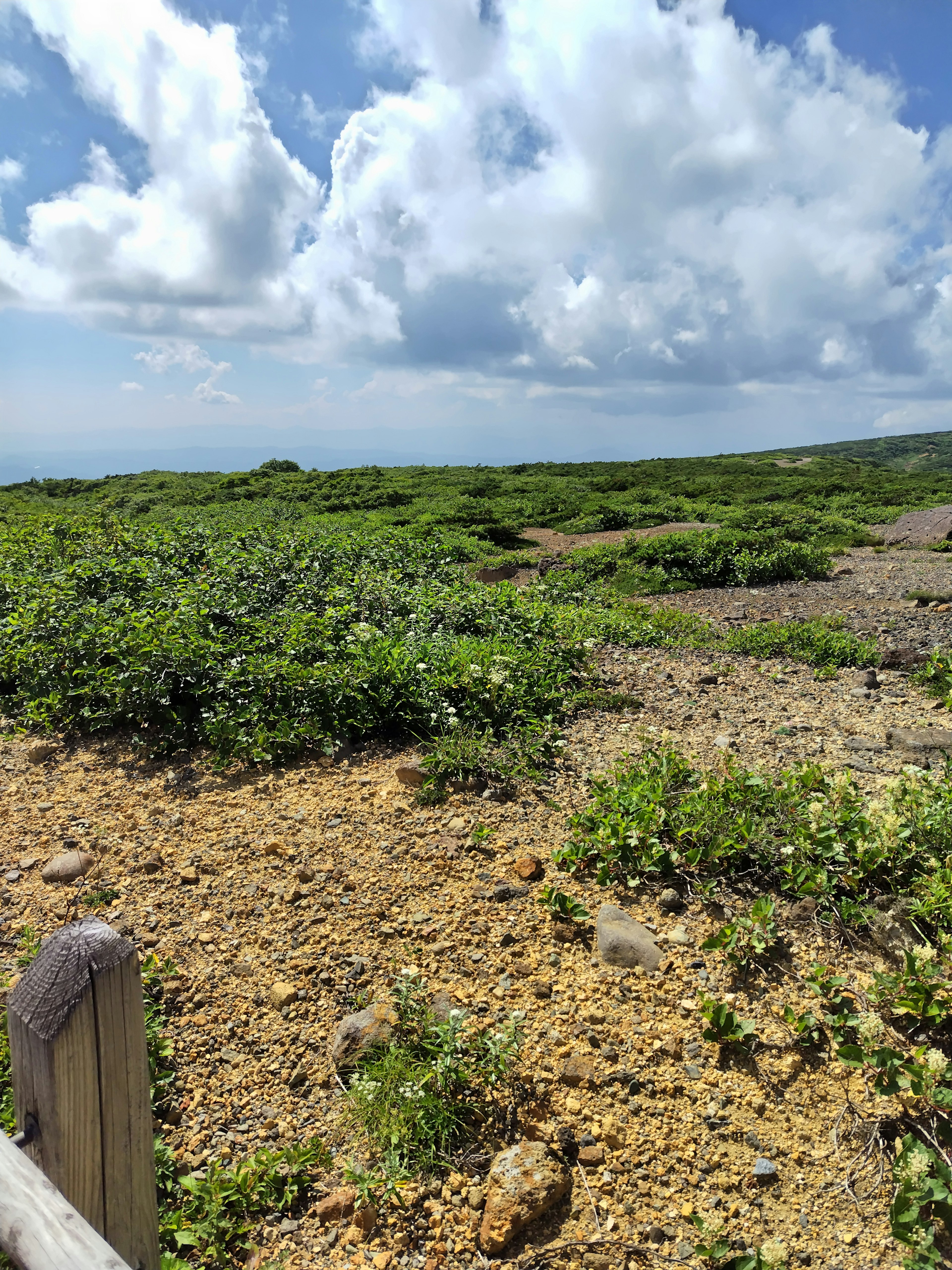 Paysage verdoyant avec ciel bleu et nuages blancs