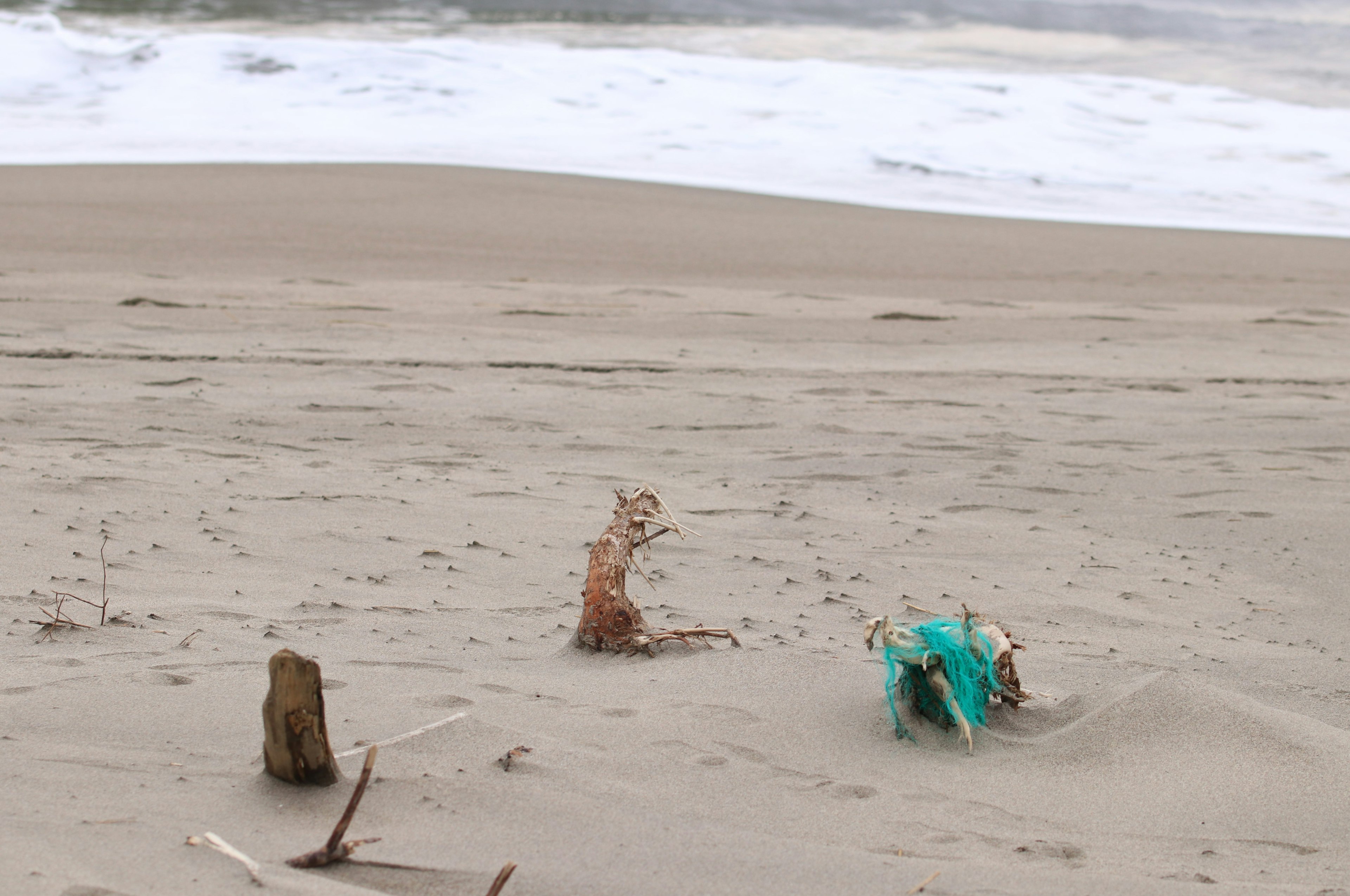 Driftwood and a green object on a sandy beach