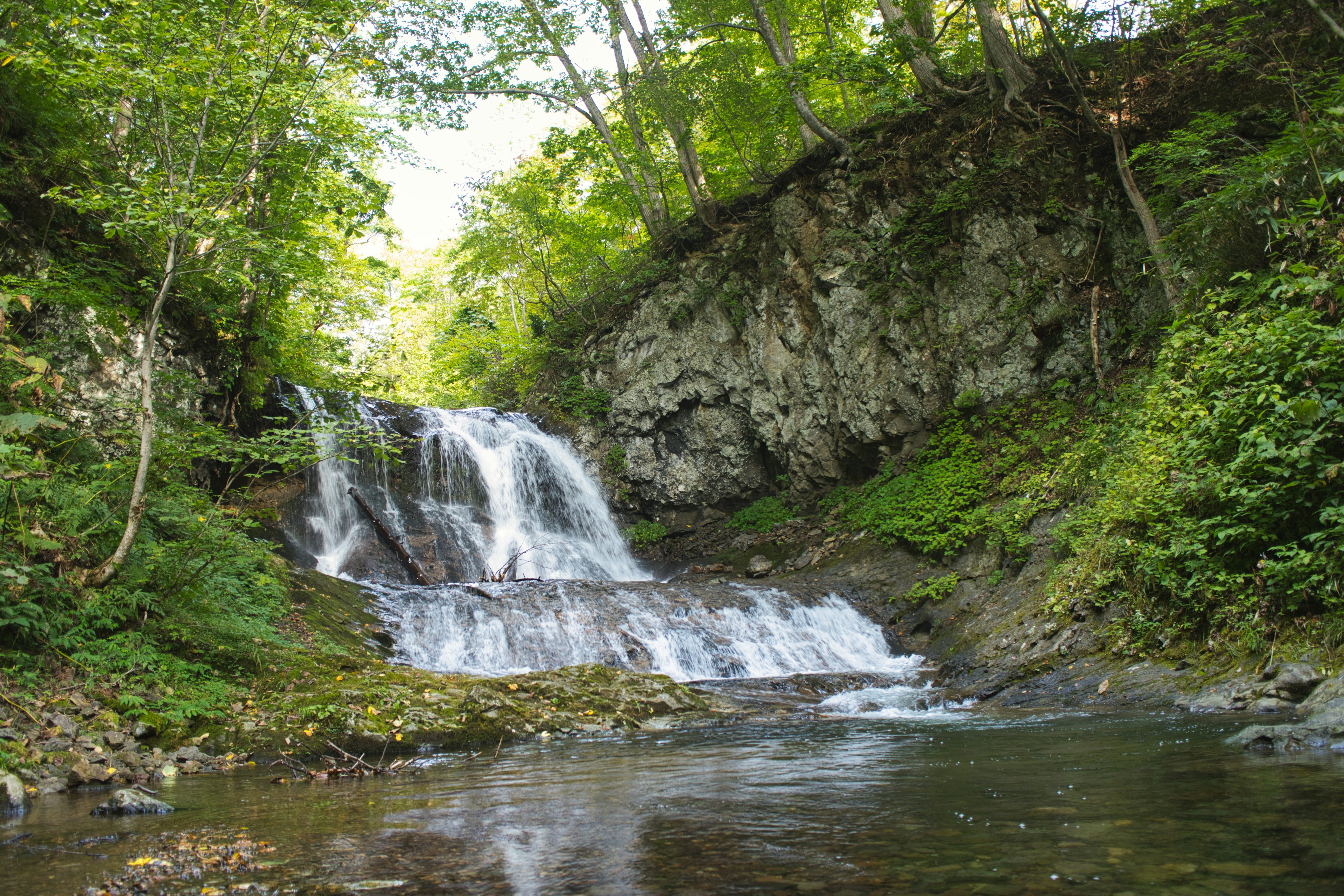 Wasserfall, der über Felsen fließt, umgeben von üppigem Grün