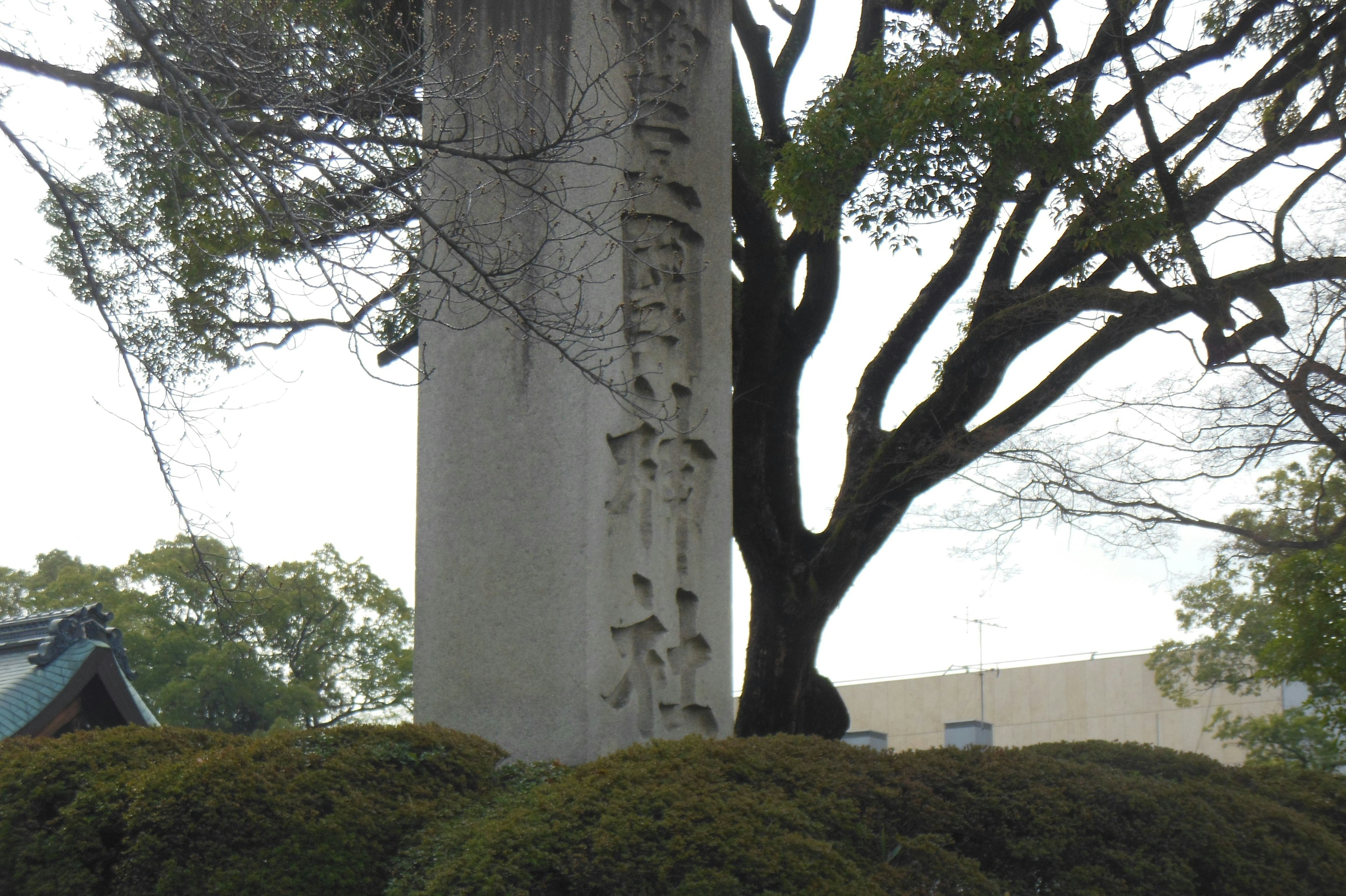 Pilar de piedra con inscripciones ubicado en la base de un gran árbol