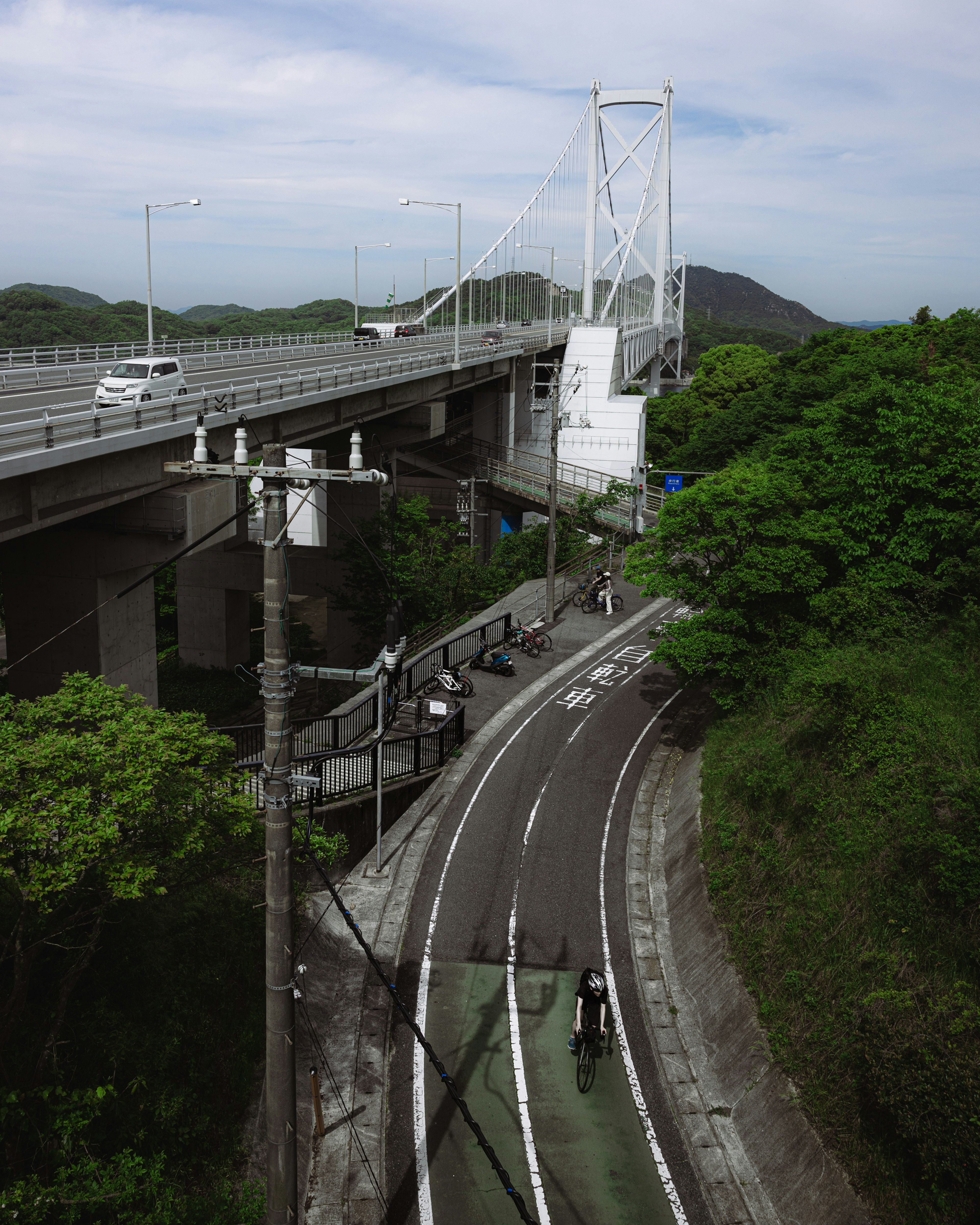 高架道路と橋が見える緑豊かな風景