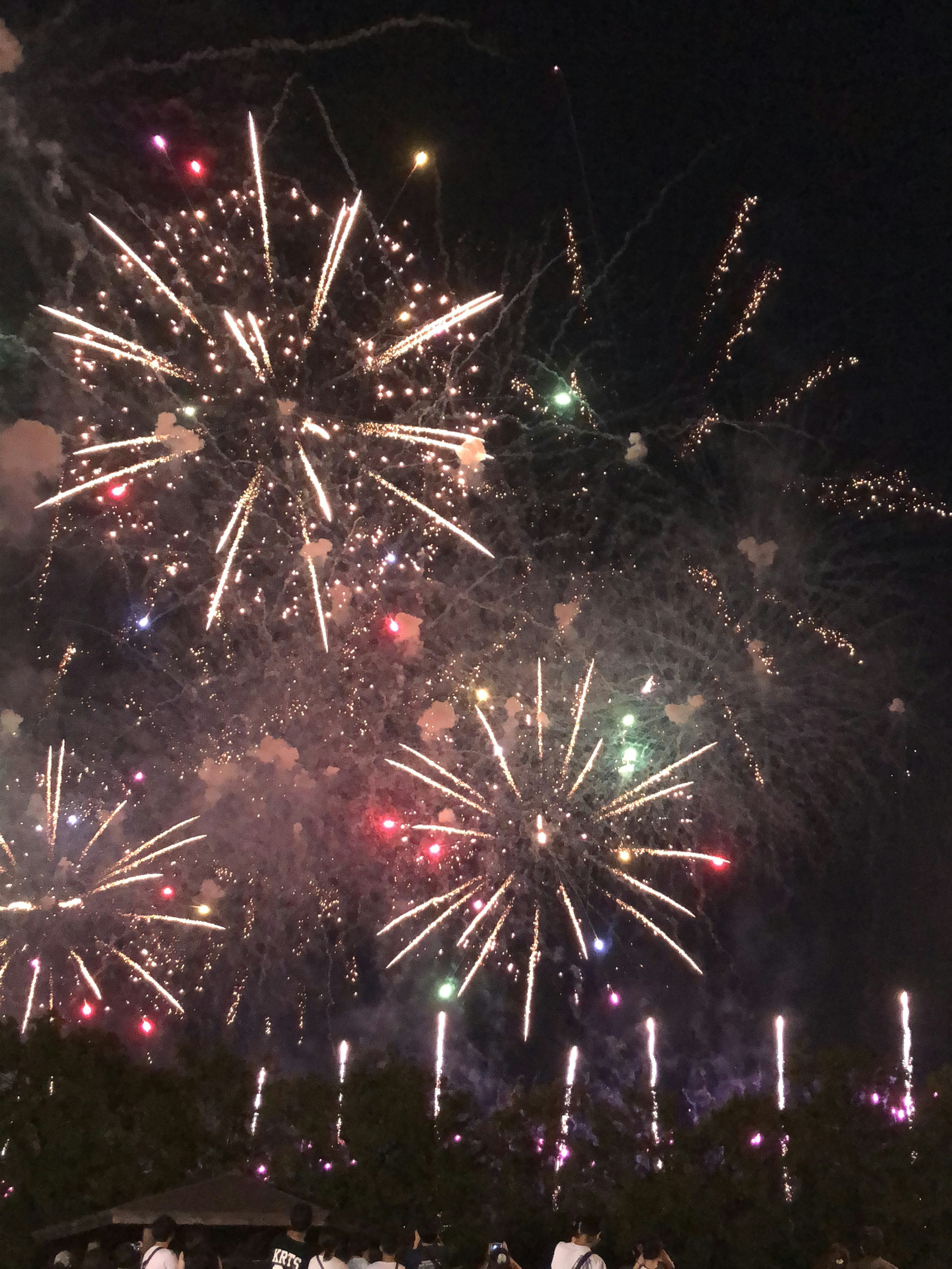 Feux d'artifice colorés éclatant dans le ciel nocturne