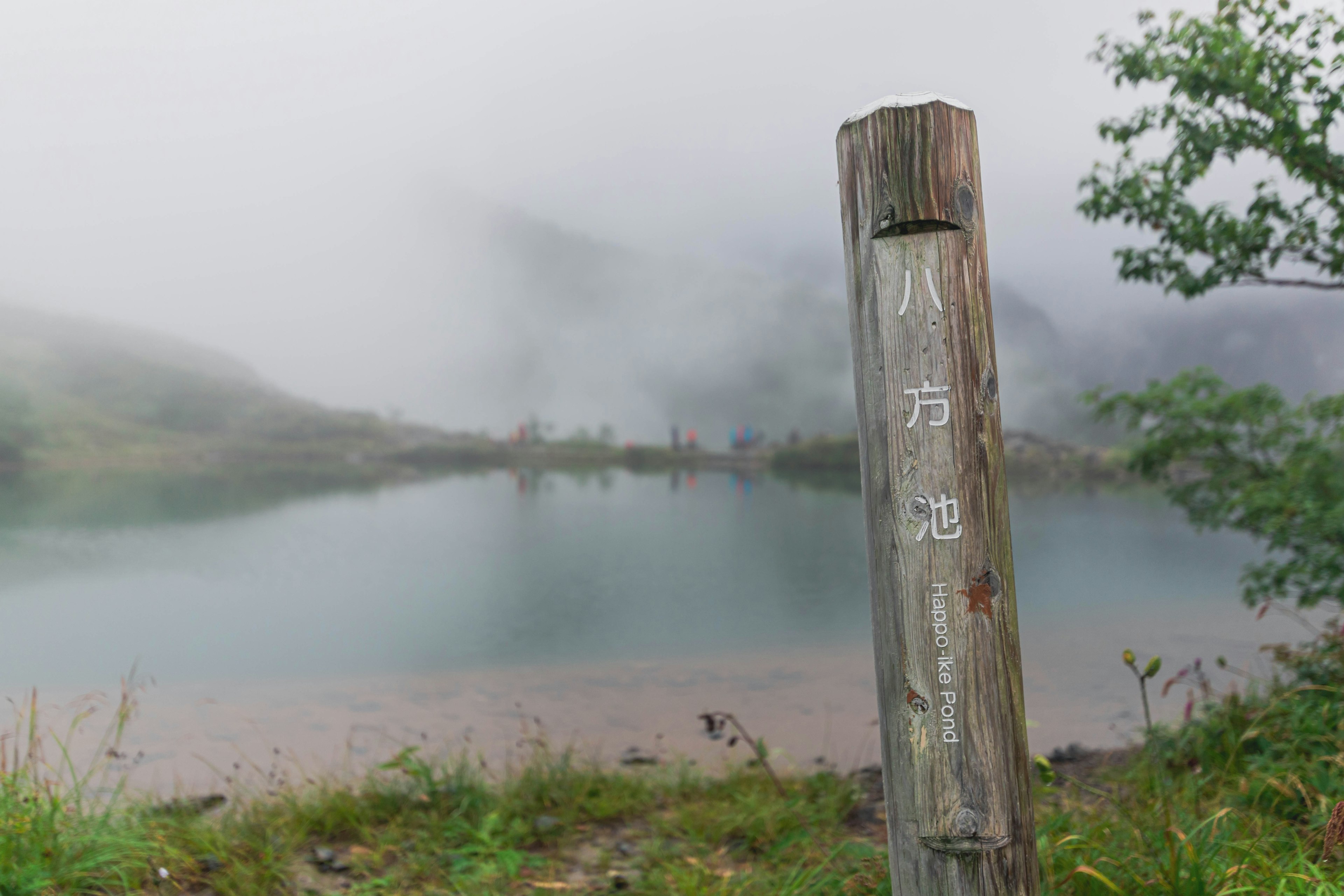 Vista di un lago nebbioso con un palo di legno