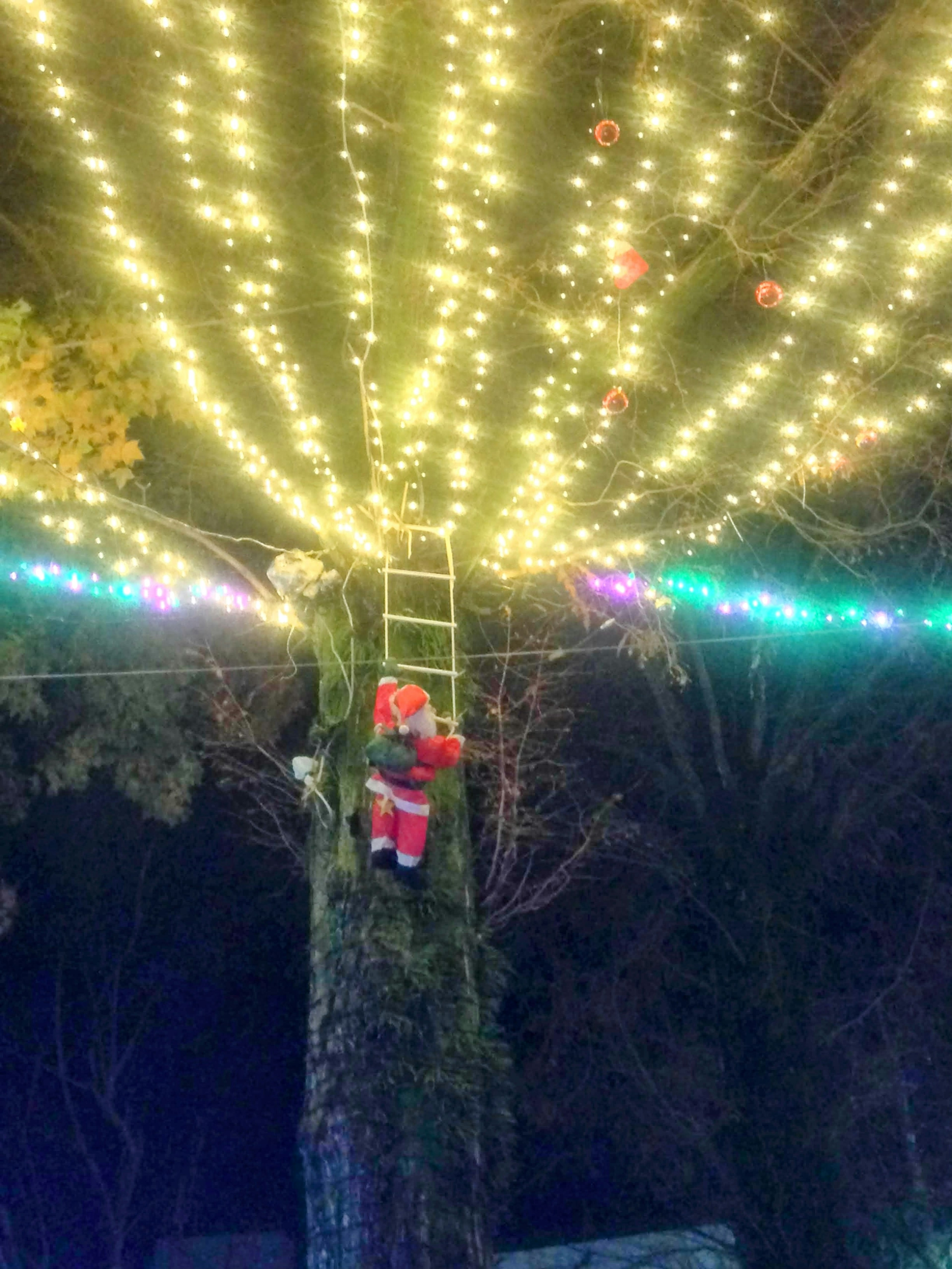 Figurine de Père Noël grimpant à un arbre décoré avec des lumières scintillantes