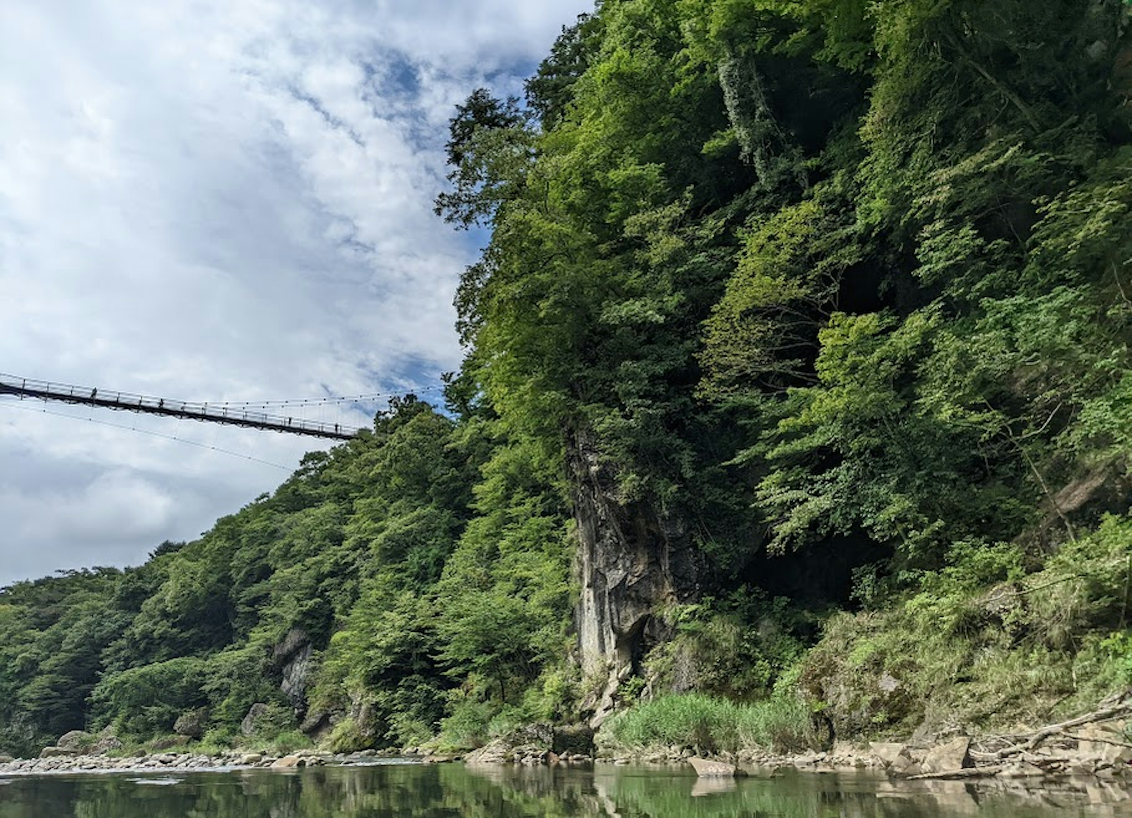 Tepi sungai hijau subur dengan jembatan terlihat