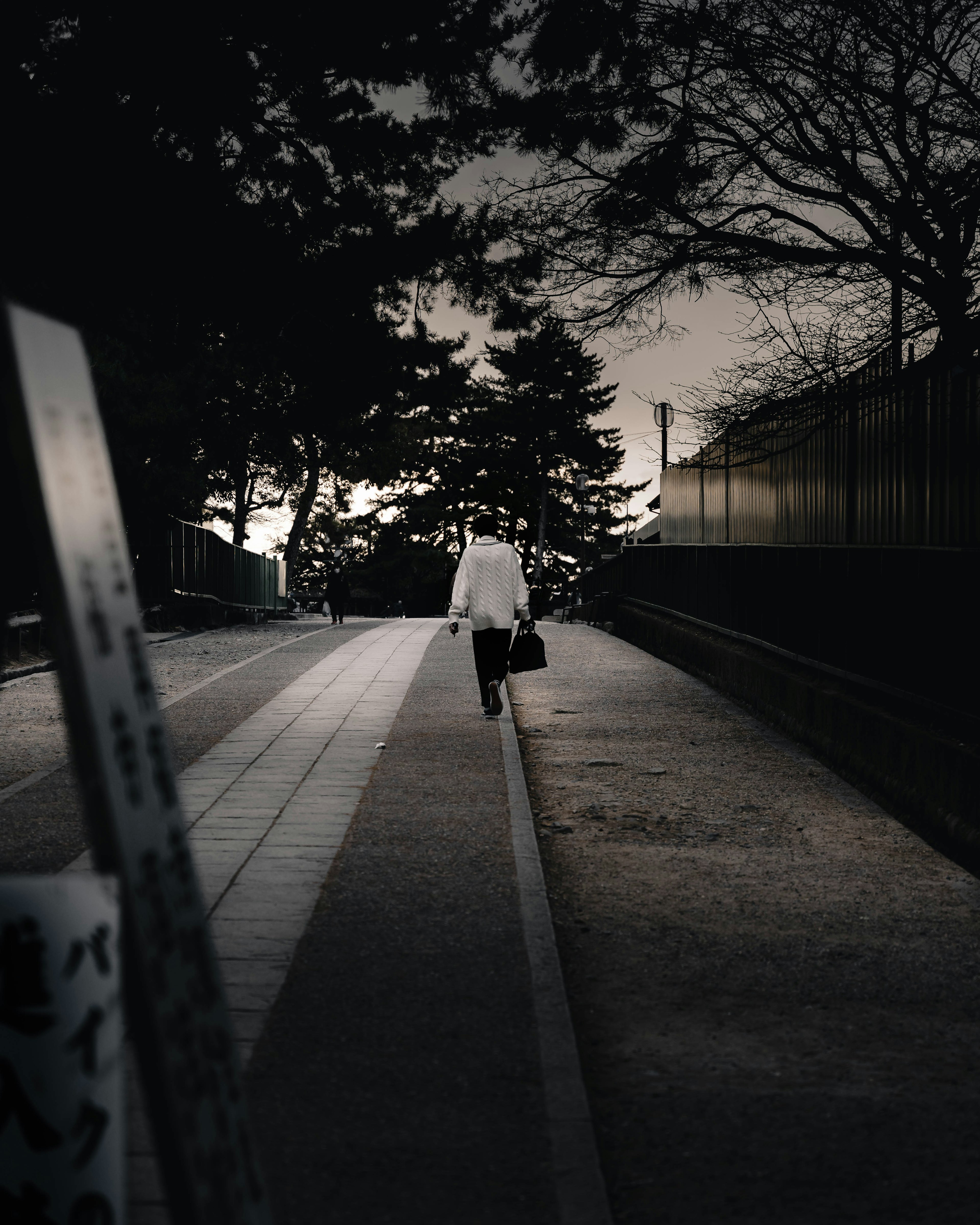 Silhouette de una persona caminando por un camino tenuemente iluminado con árboles al fondo