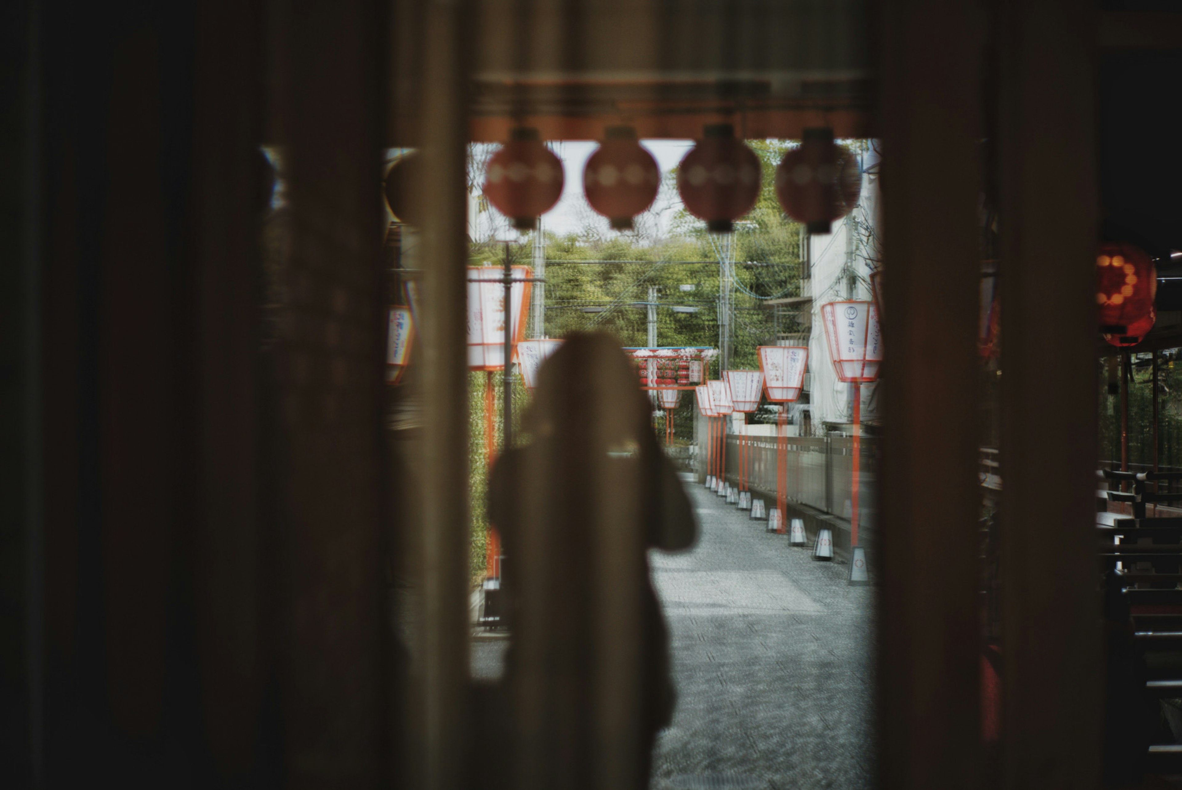 Silhouette of a person seen through curtains with lanterns and a pathway