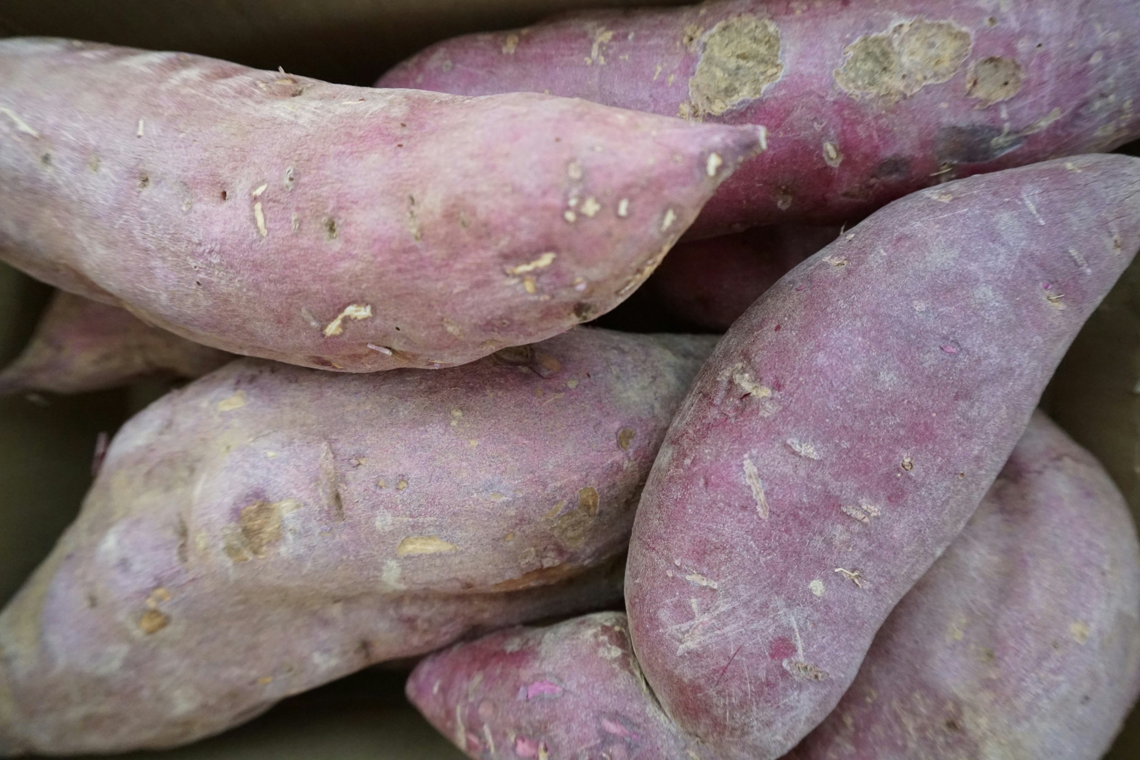 A collection of sweet potatoes arranged in a box