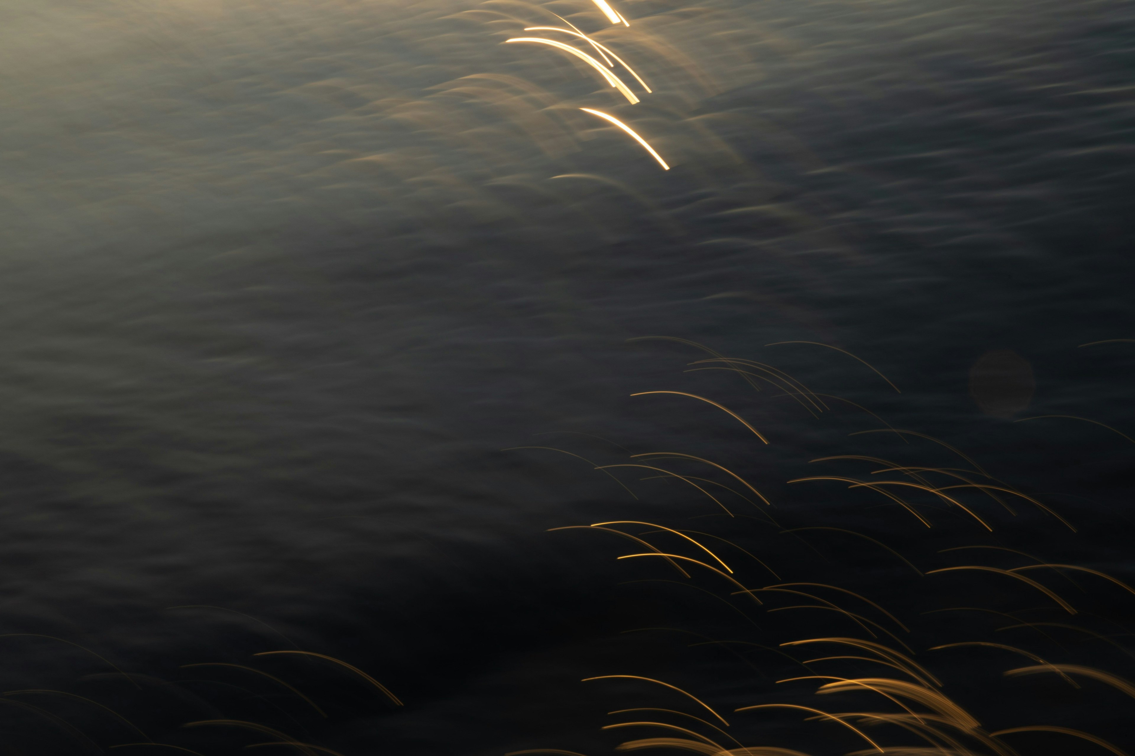 Abstract image of light trails reflecting on water surface with dark background