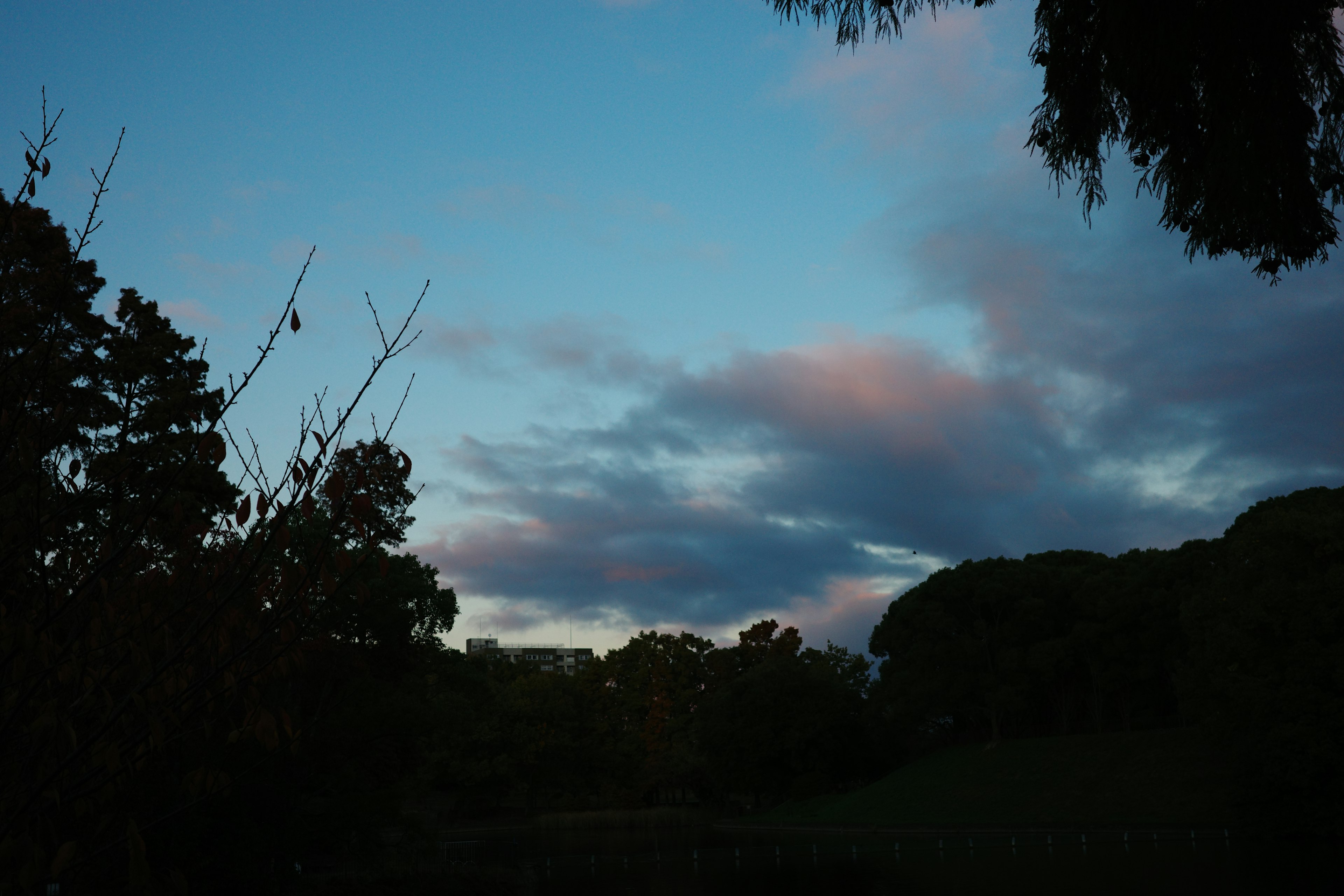 夕暮れ時の青い空に雲が浮かぶ風景